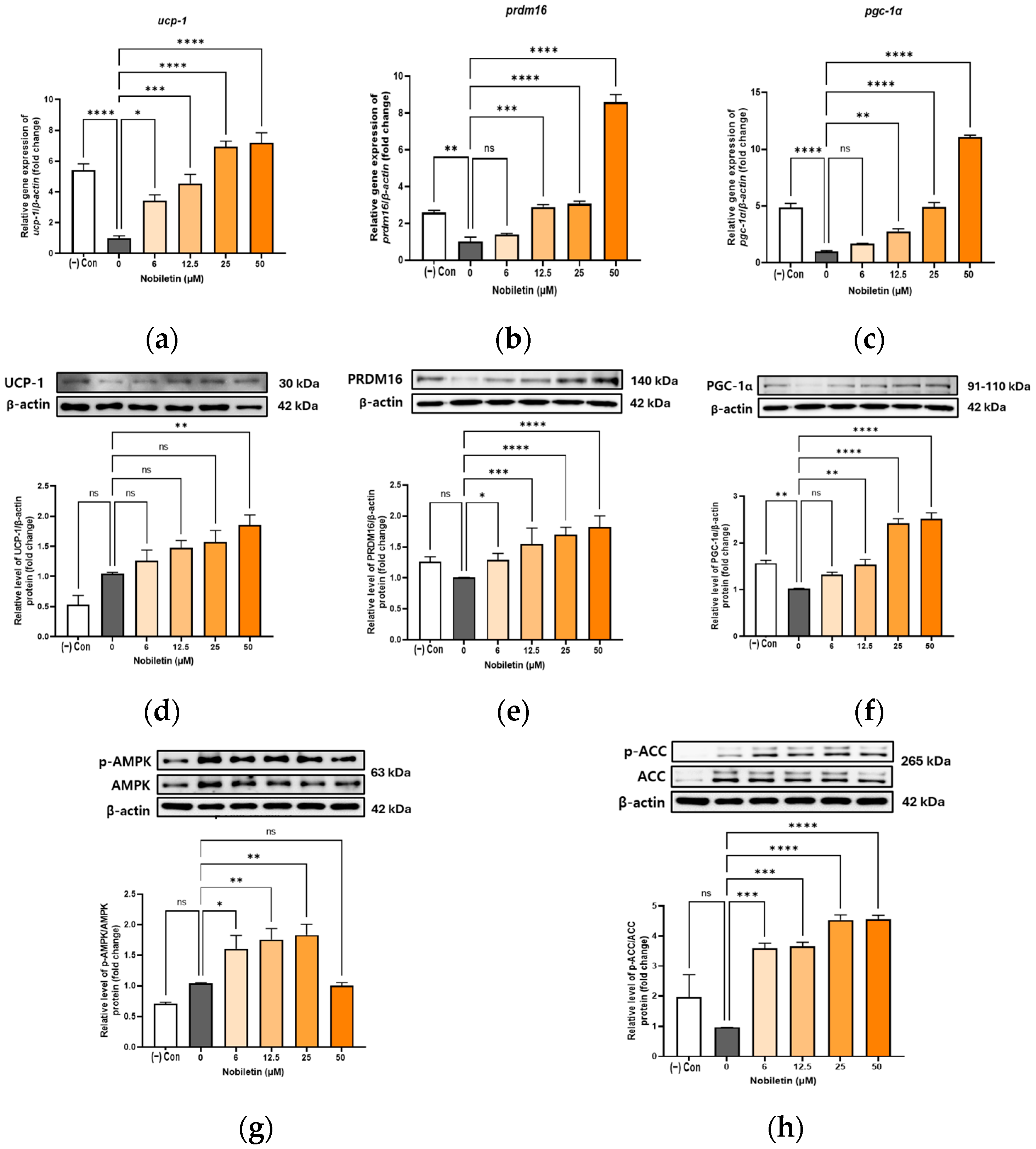 Cimb 48 00036 g003 Cimb 48 00036 g003