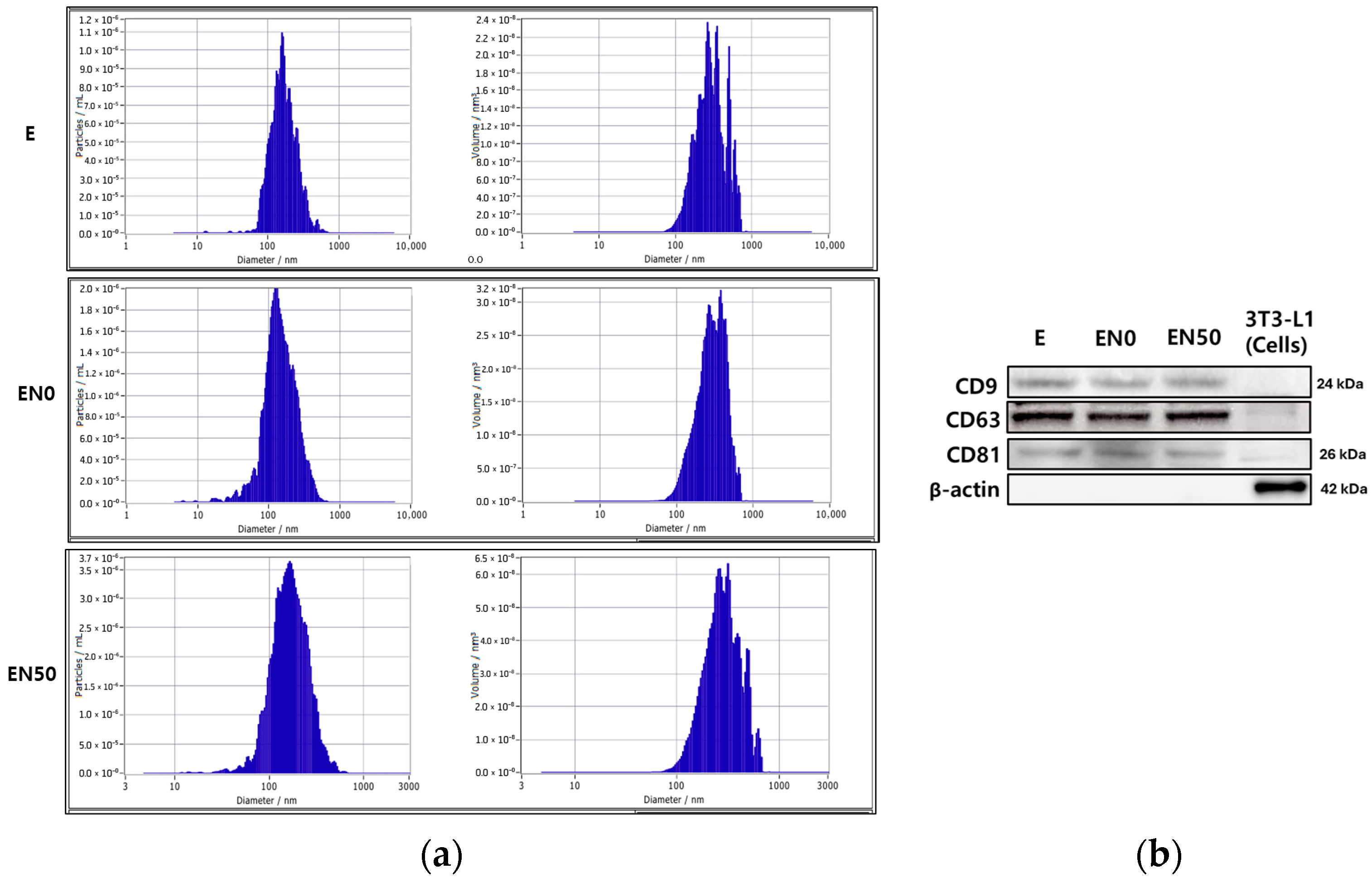 Cimb 48 00036 g004 Cimb 48 00036 g004