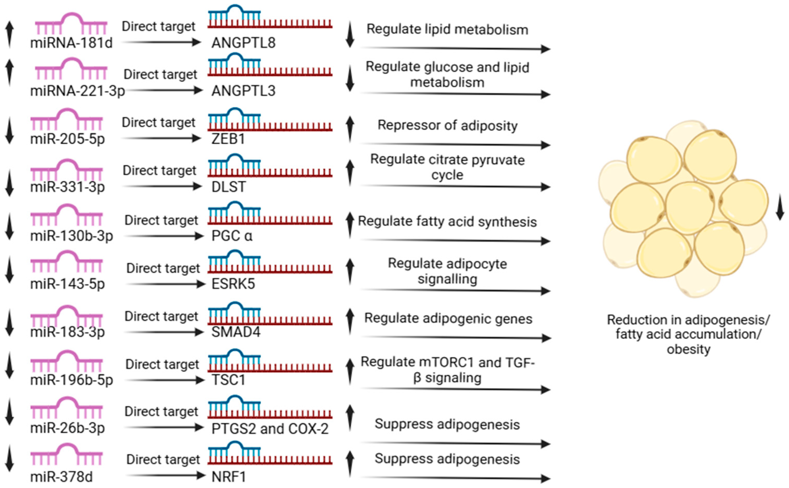 Cimb 48 00036 g006 Cimb 48 00036 g006
