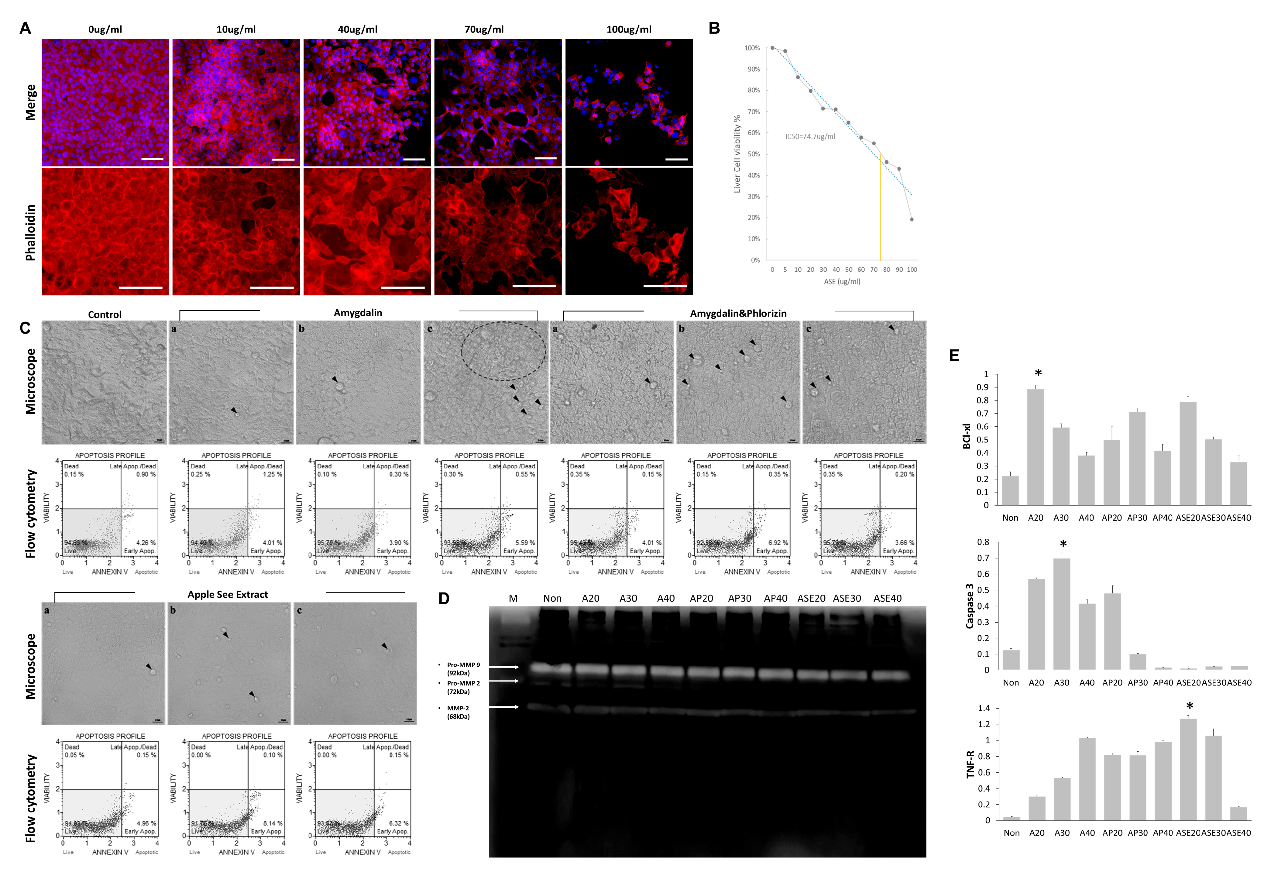 Cimb 48 00055 g001 Cimb 48 00055 g001