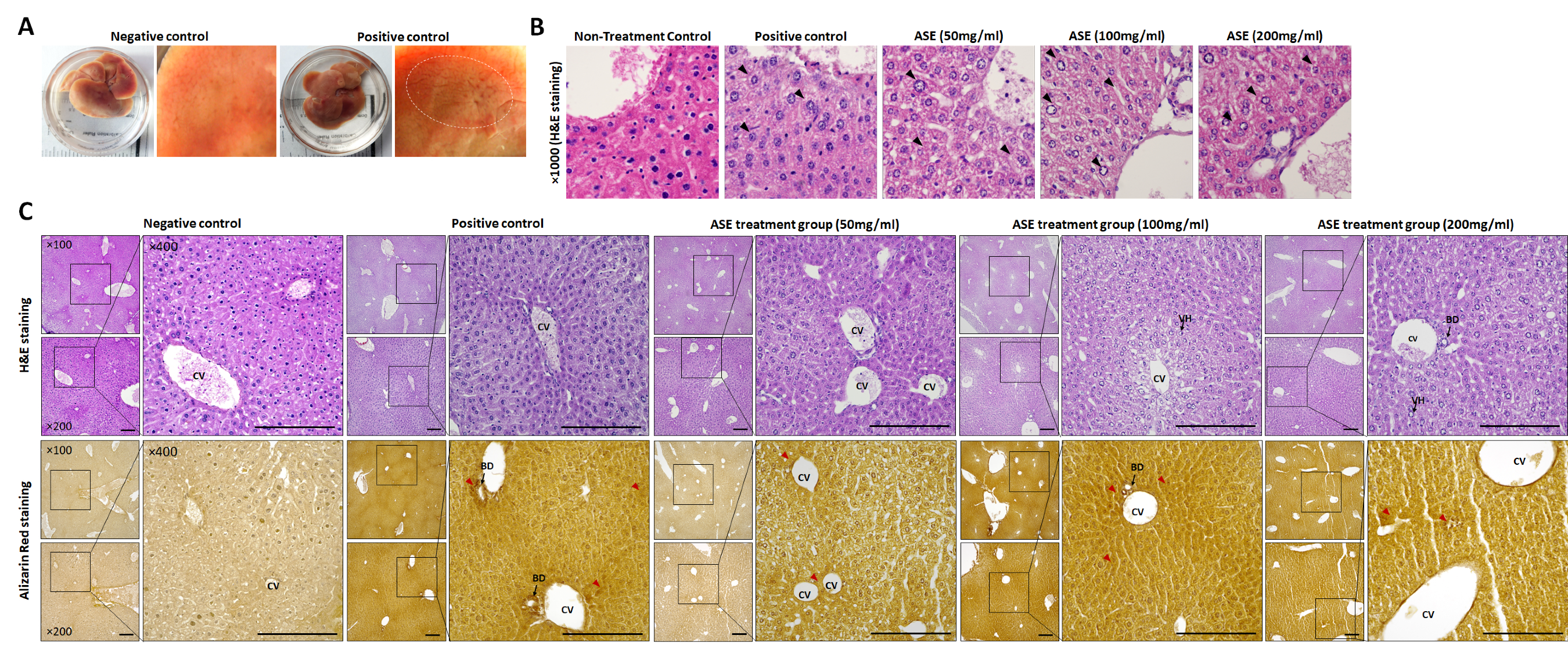 Cimb 48 00055 g003 Cimb 48 00055 g003
