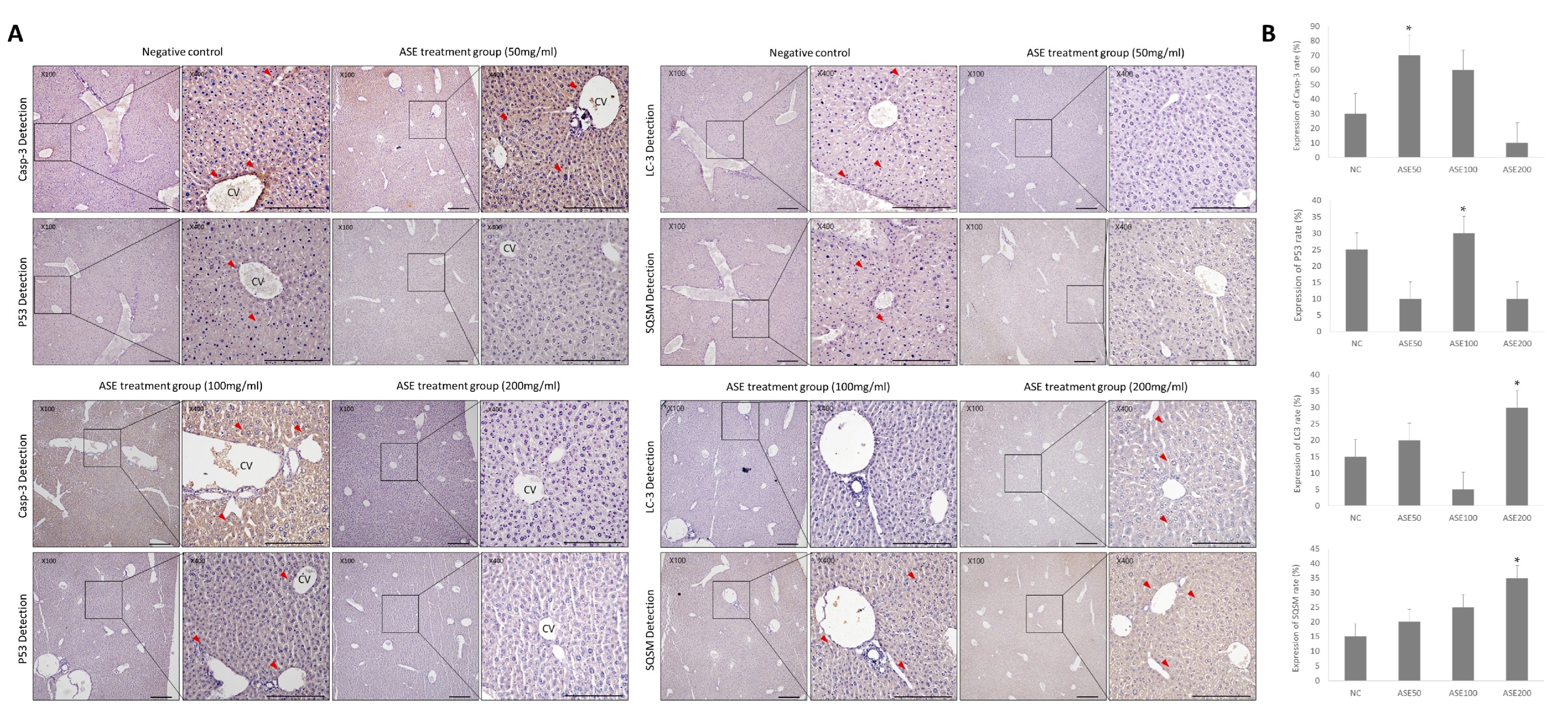 Cimb 48 00055 g004 Cimb 48 00055 g004