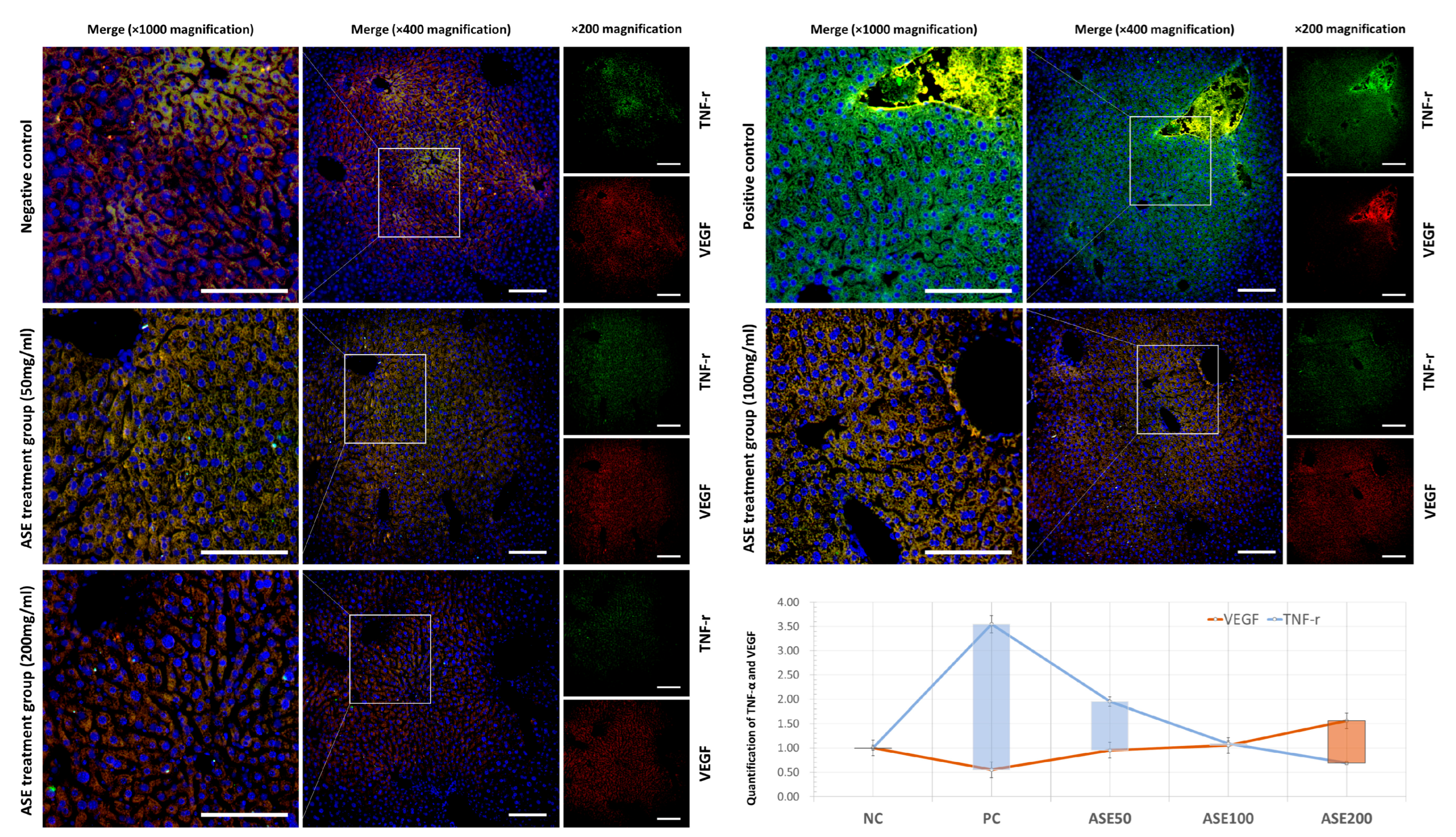 Cimb 48 00055 g006 Cimb 48 00055 g006