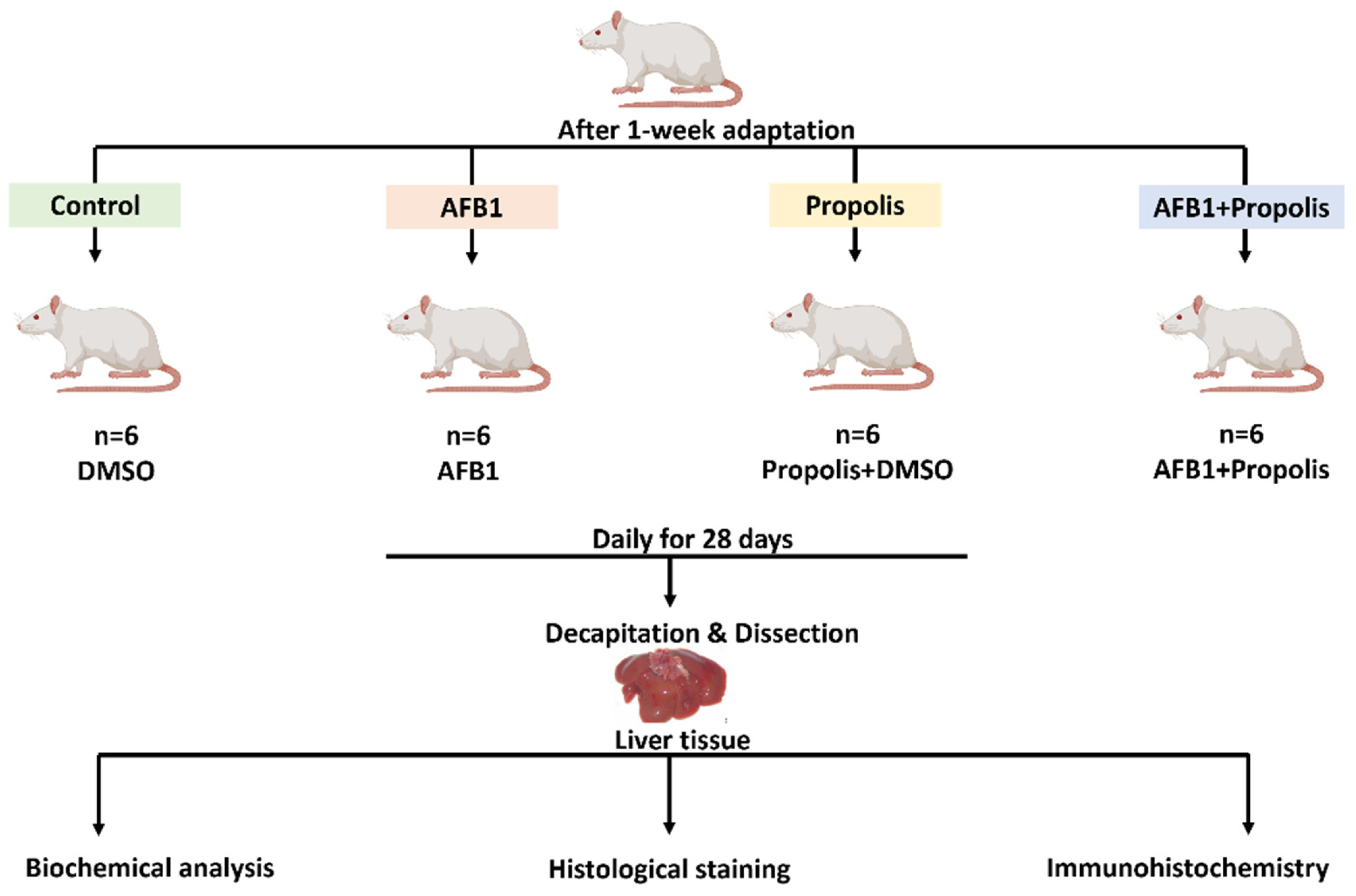 Cimb 48 00056 g001 Cimb 48 00056 g001