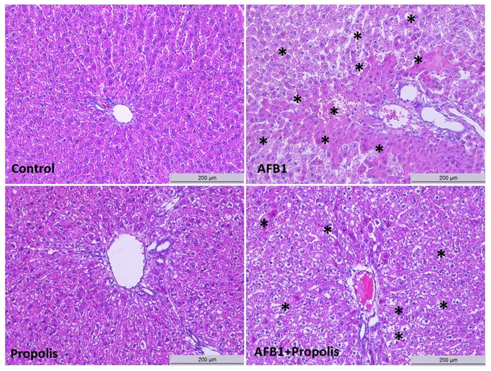 Cimb 48 00056 g003 Cimb 48 00056 g003