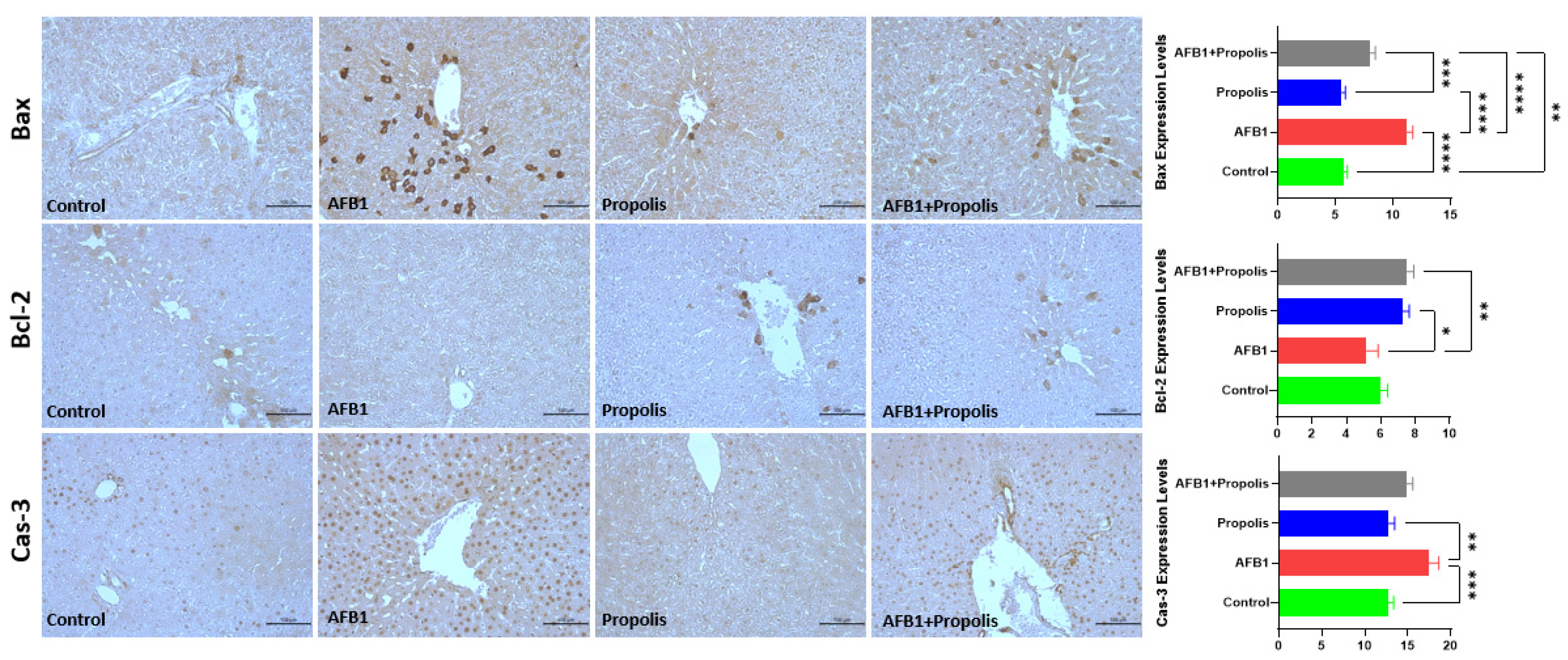 Cimb 48 00056 g004 Cimb 48 00056 g004