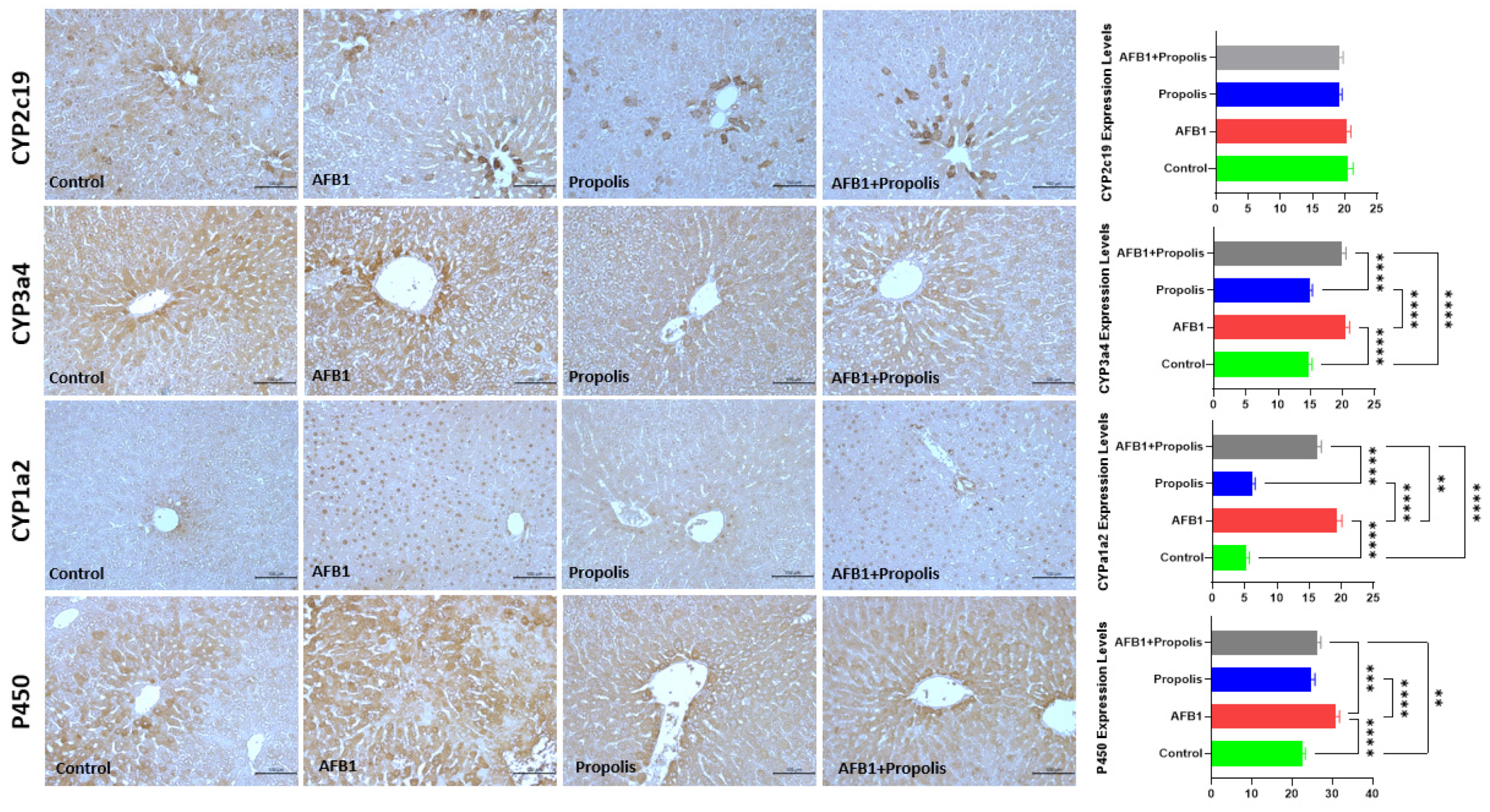 Cimb 48 00056 g005 Cimb 48 00056 g005