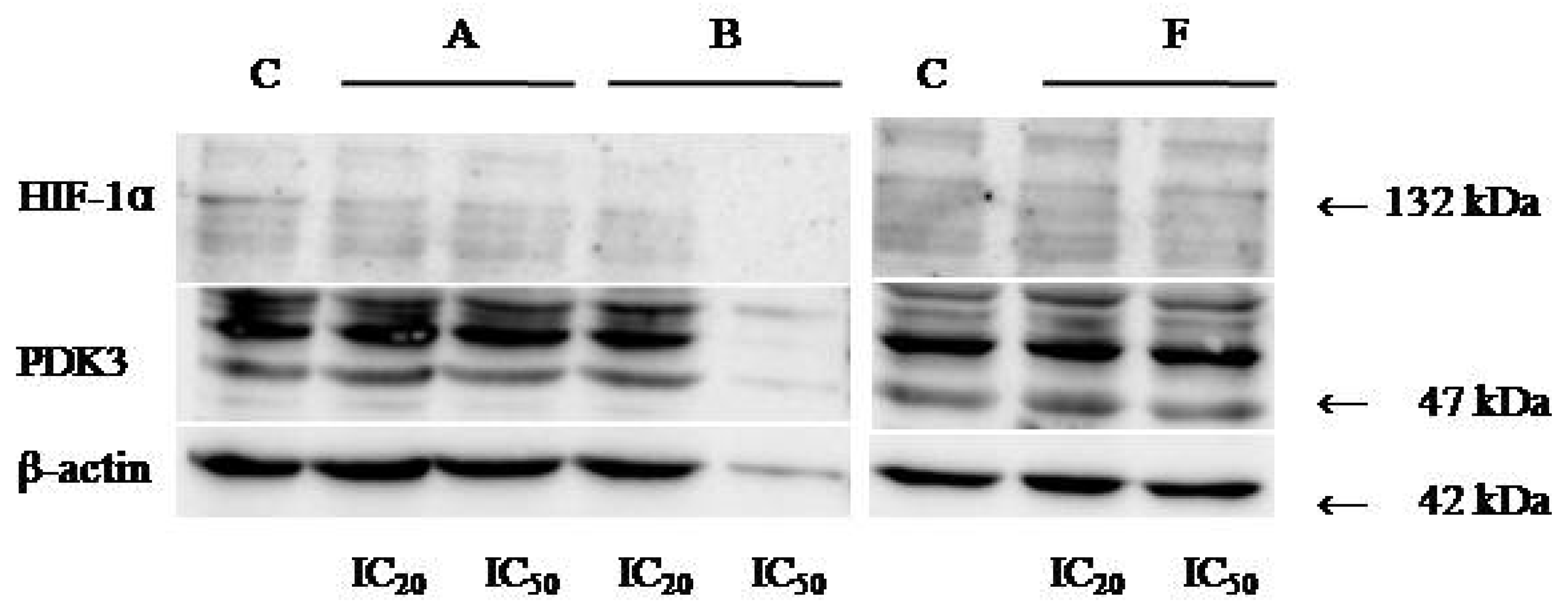 Cimb 48 00057 g007 Cimb 48 00057 g007