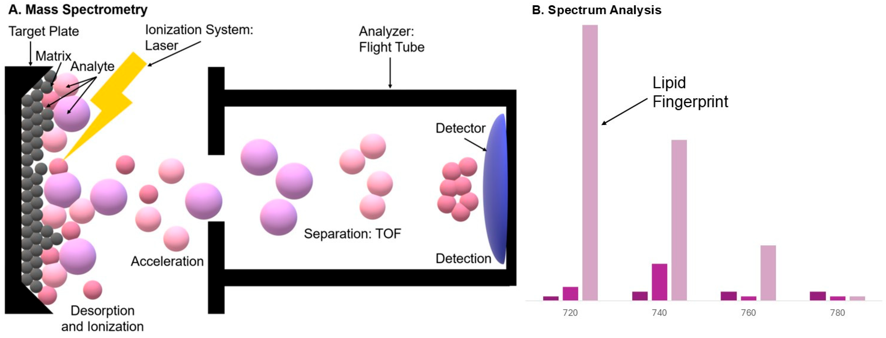 Cimb 48 00059 g001 Cimb 48 00059 g001