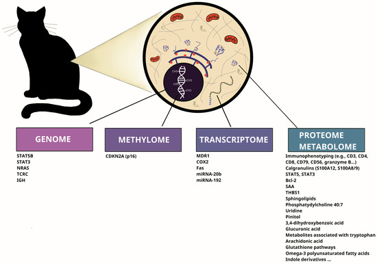 glutathione and coffee Microingredients Cat Antioxidants - Best Prices in Egypt main image 0