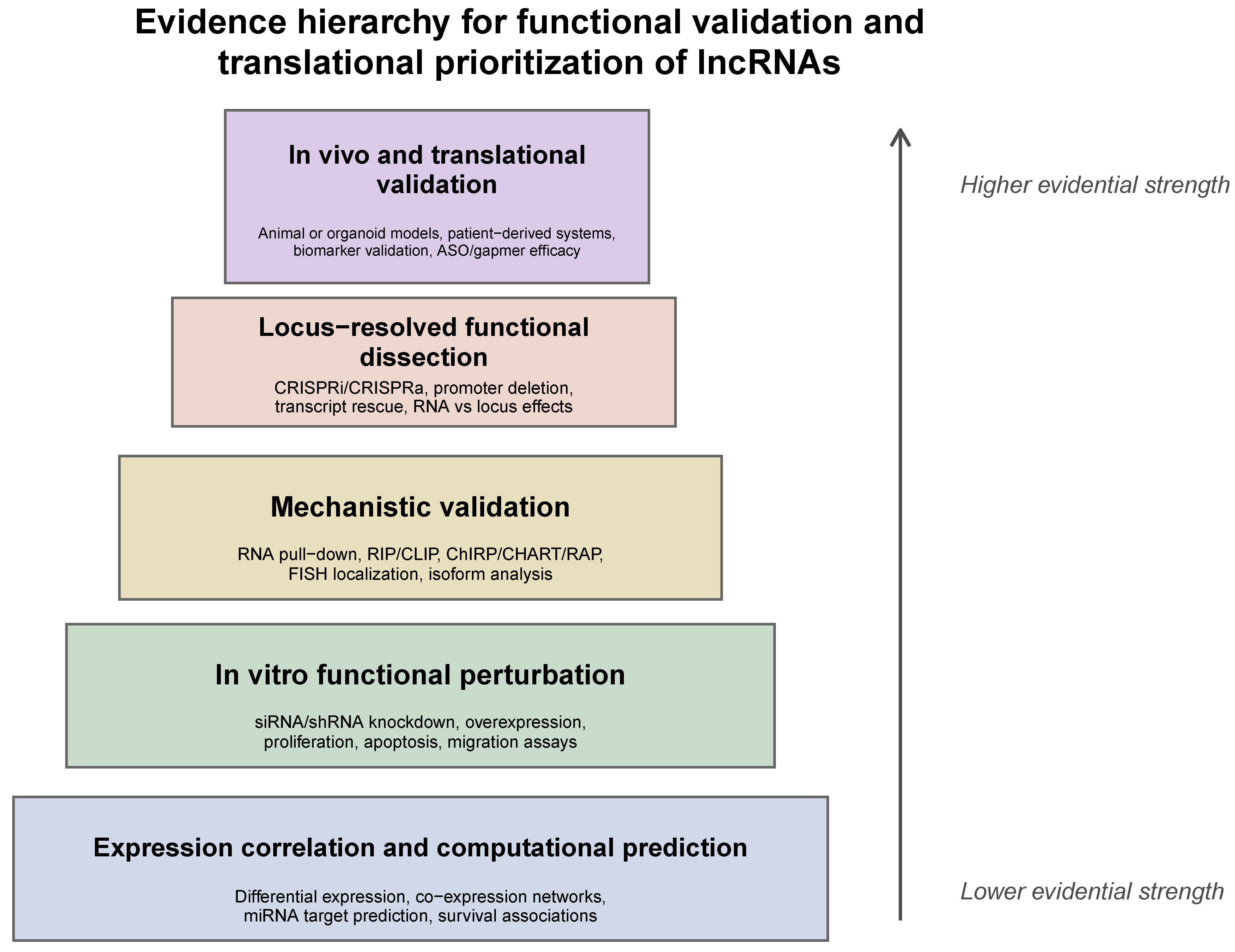 Long Non-Coding RNAs in Human Disease: An Overview of Biogenesis ...