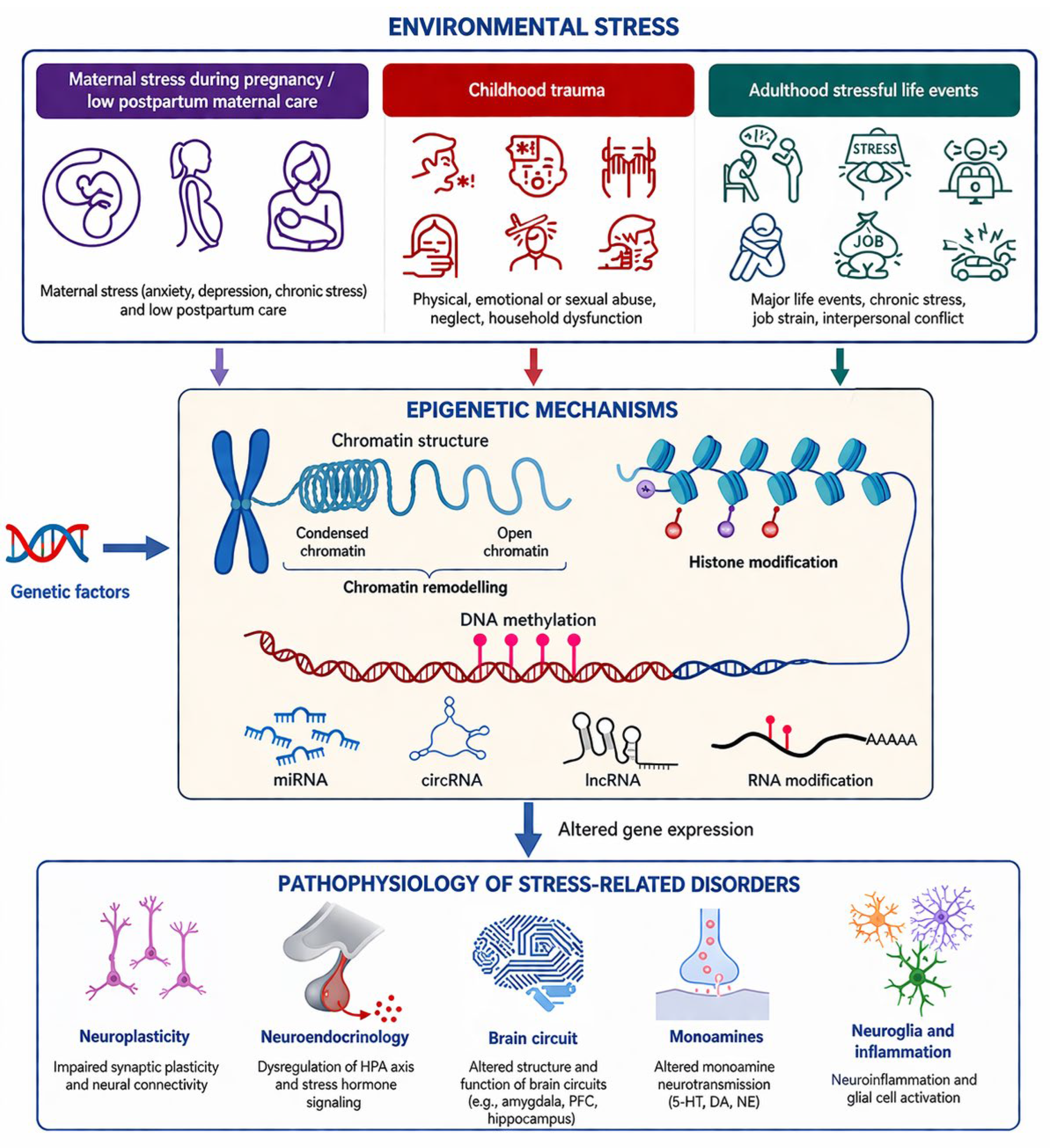 Epigenetic and Transcriptomic Pathways Underlying Animal Models of ...