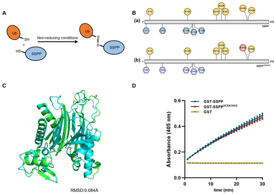 glutathione sepharose 4b amersham biosciences From GE Healthcare It belongs to the family of Phase II detoxification enzymes B-type Plexins promote the GTPase