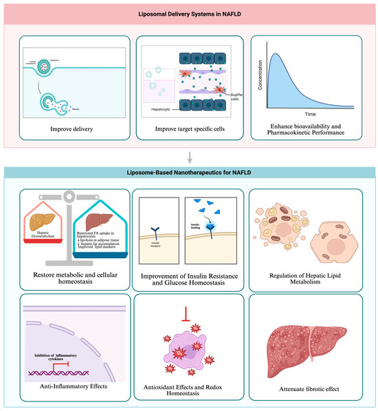 liposomal glutathione nafld liver disease study Nanocarriers in Non-Alcoholic Fatty Disease: A Systematic Review of Formulation Design, Targeting Strategies, and Therapeutic Outcomes Niacinamide Soap
