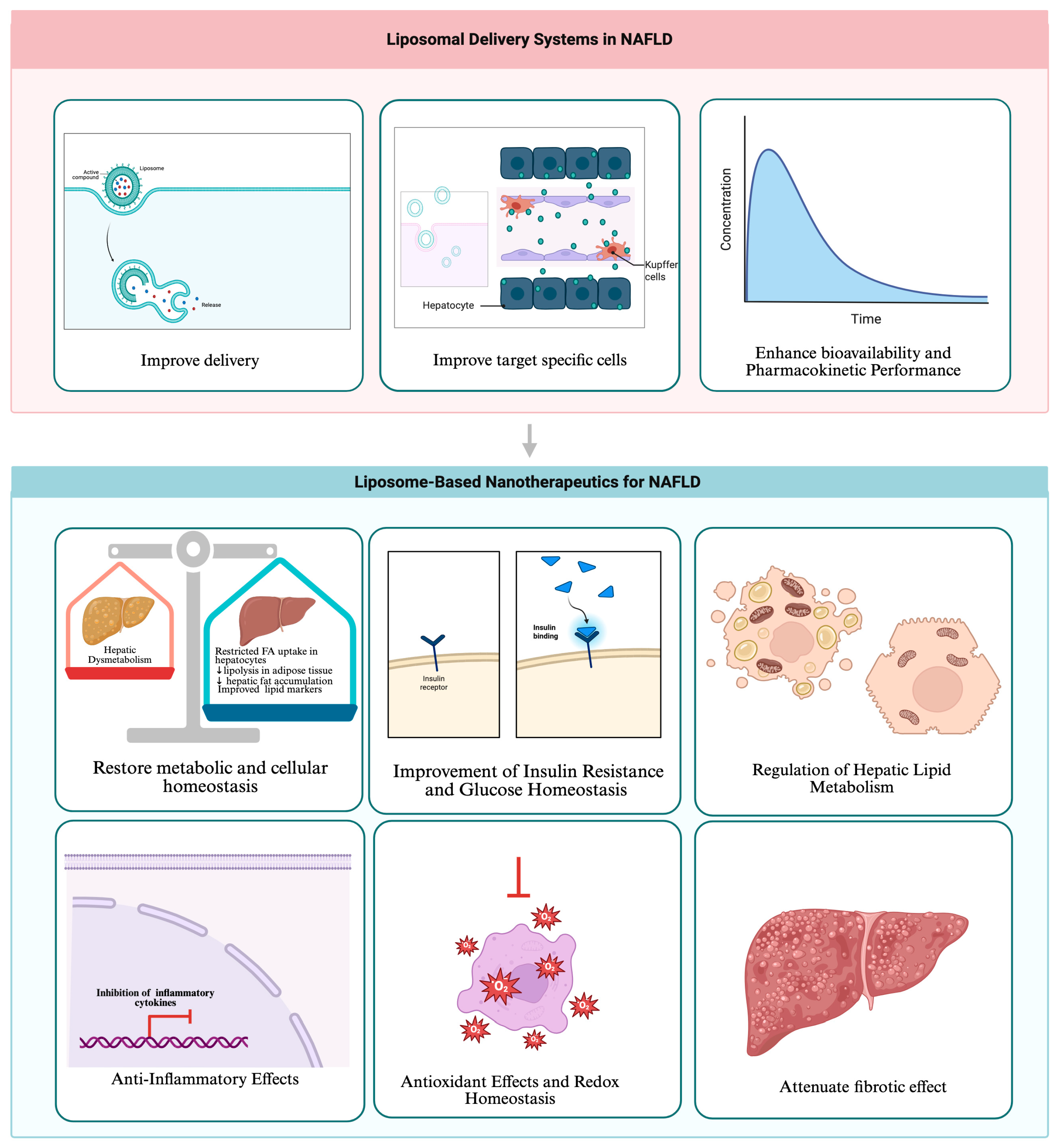 liposomal glutathione nonalcoholic fatty liver disease Nanocarriers in Non-Alcoholic Disease: A Systematic Review of Formulation Design, Targeting Strategies, and Therapeutic Outcomes Choose your pack:Pack of 2 (30 Tablets) Collagen A Beginner's Guide to