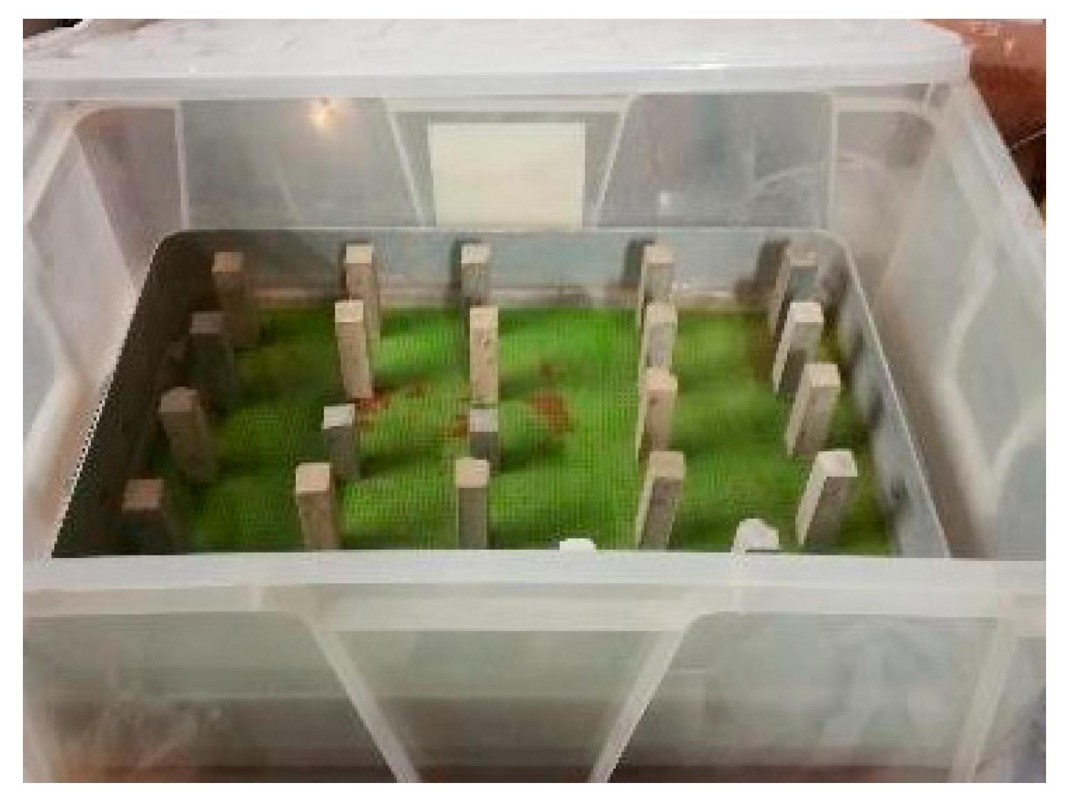 Civileng 02 00024 g005