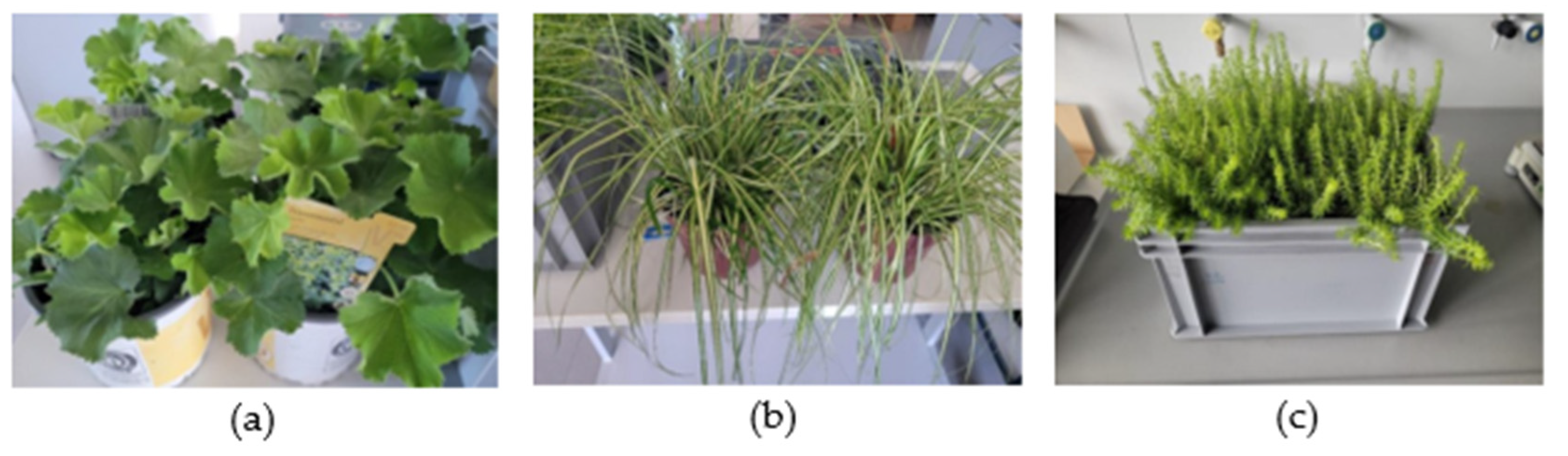 Civileng 06 00060 g007