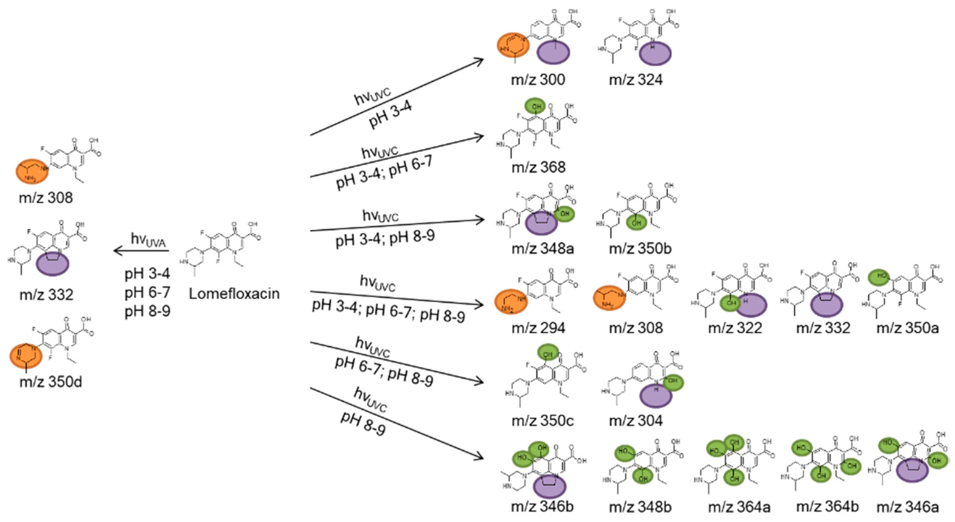 Cleantechnol 02 00006 g006 Cleantechnol 02 00006 g006
