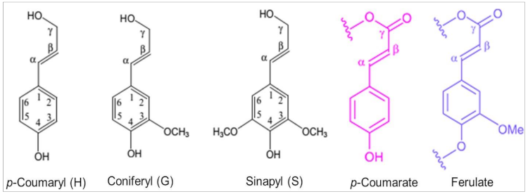 Cleantechnol 03 00014 g004 Cleantechnol 03 00014 g004