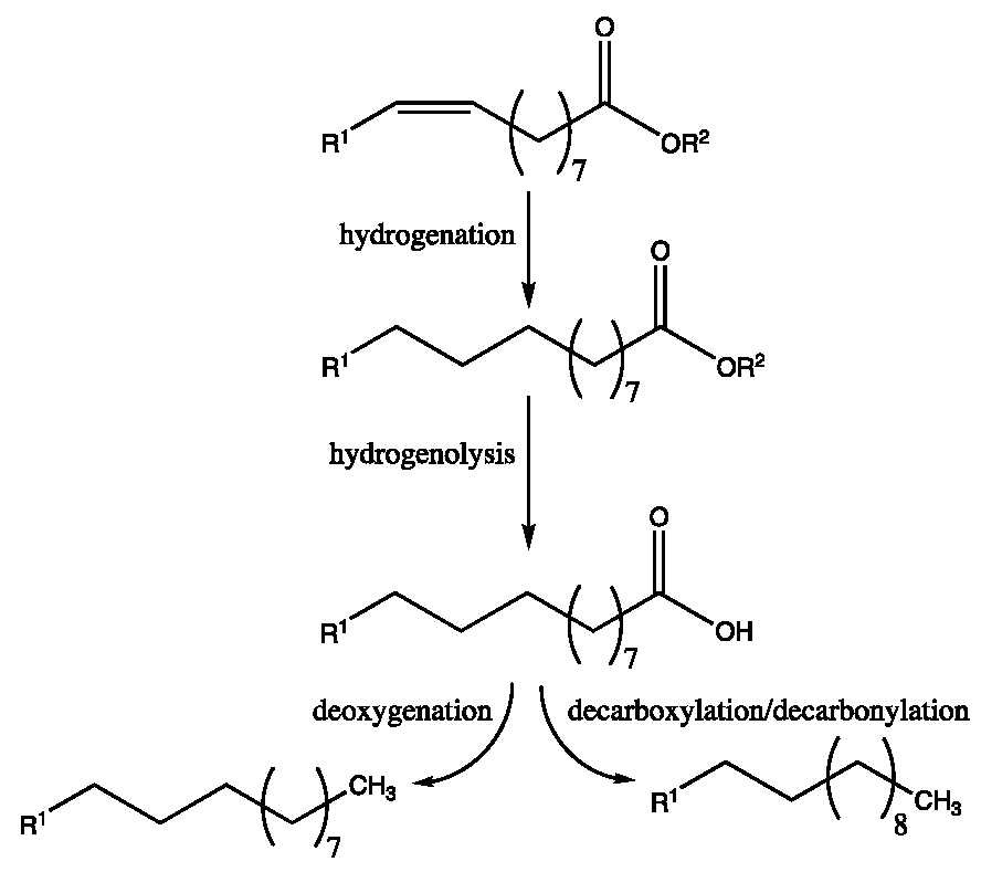 Cleantechnol 03 00043 g011 550