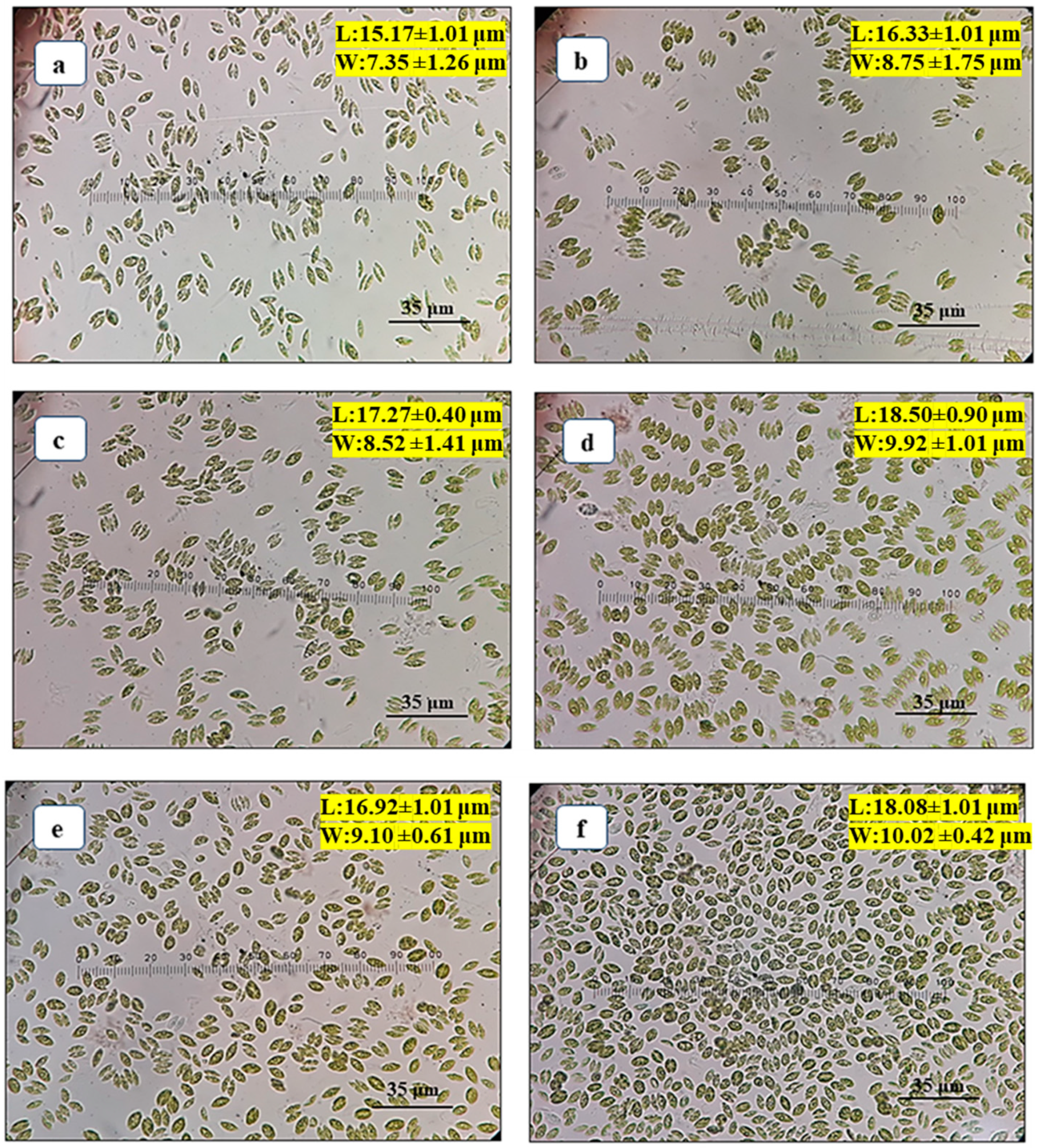 Cleantechnol 04 00045 g001