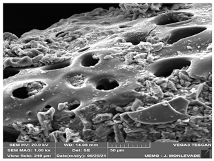 Cleantechnol 05 00019 i011