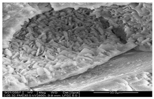 Cleantechnol 05 00019 i013