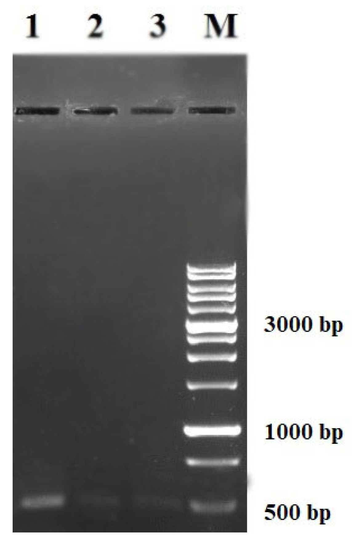 Cleantechnol 05 00023 g001 Cleantechnol 05 00023 g001