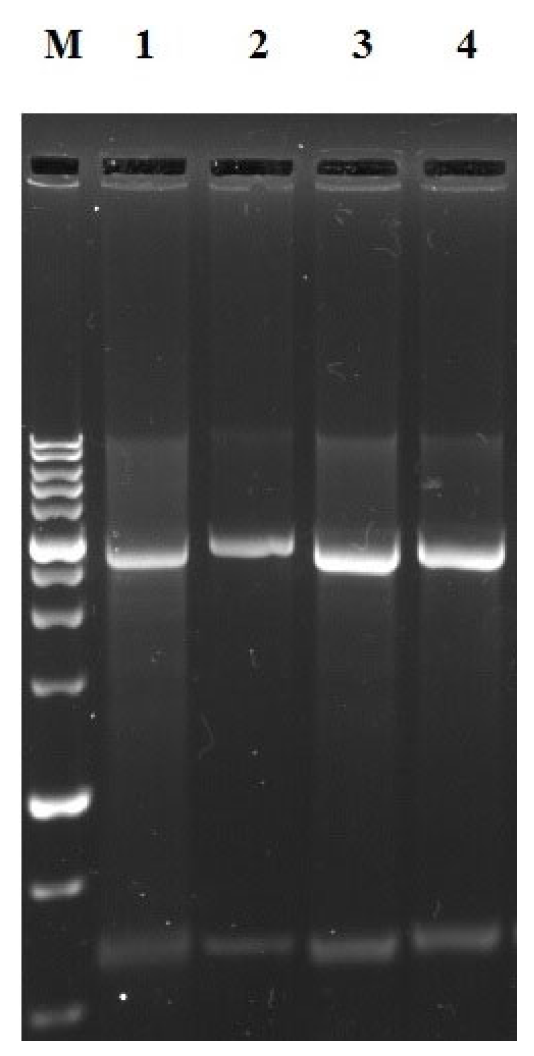 Cleantechnol 05 00023 g004 Cleantechnol 05 00023 g004