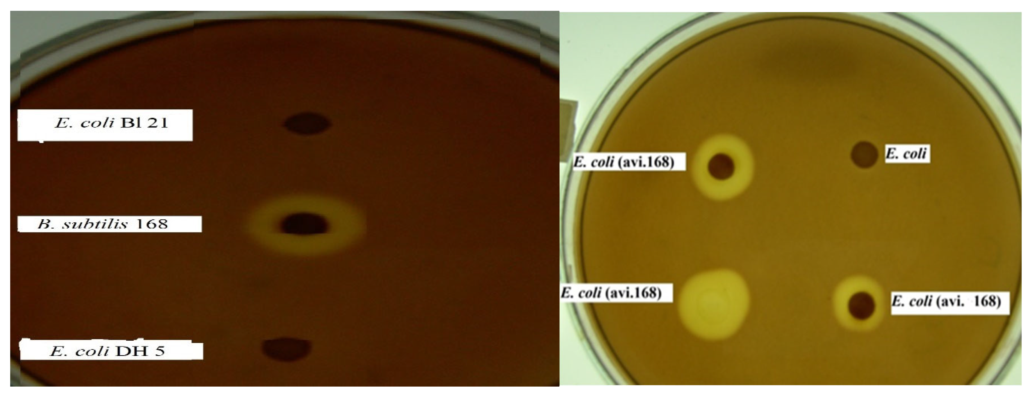 Cleantechnol 05 00023 g005 Cleantechnol 05 00023 g005