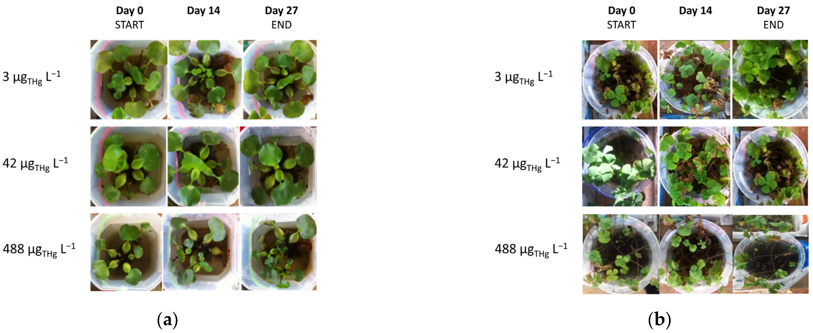 Cleantechnol 05 00041 g003a Cleantechnol 05 00041 g003a