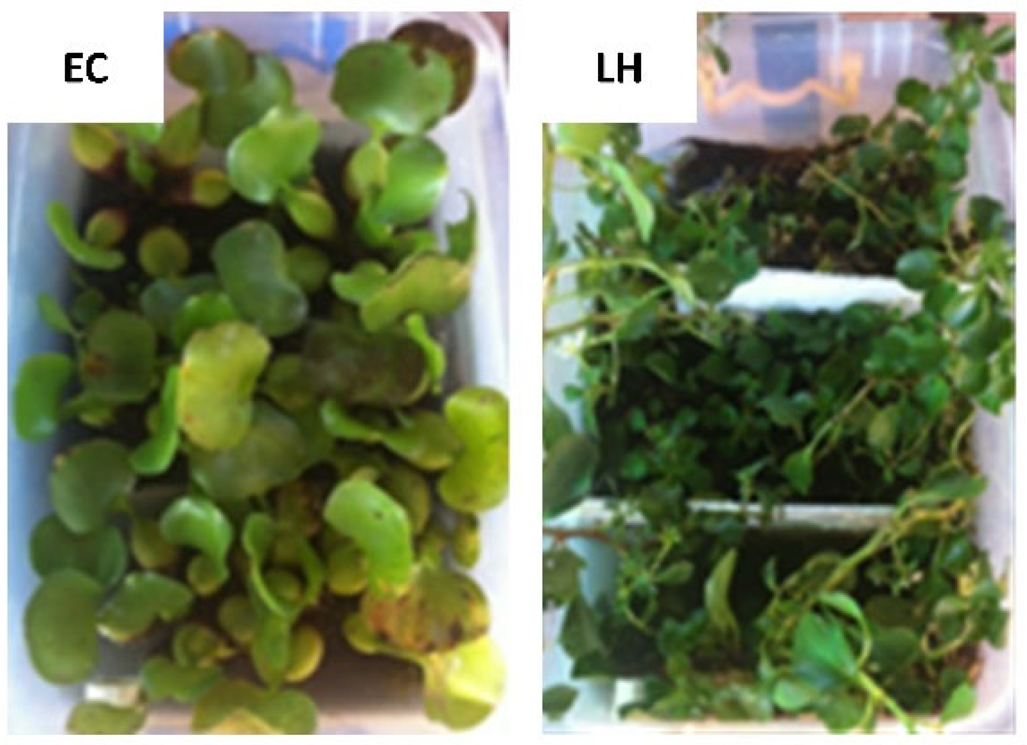 Cleantechnol 05 00041 g0a1 Cleantechnol 05 00041 g0a1