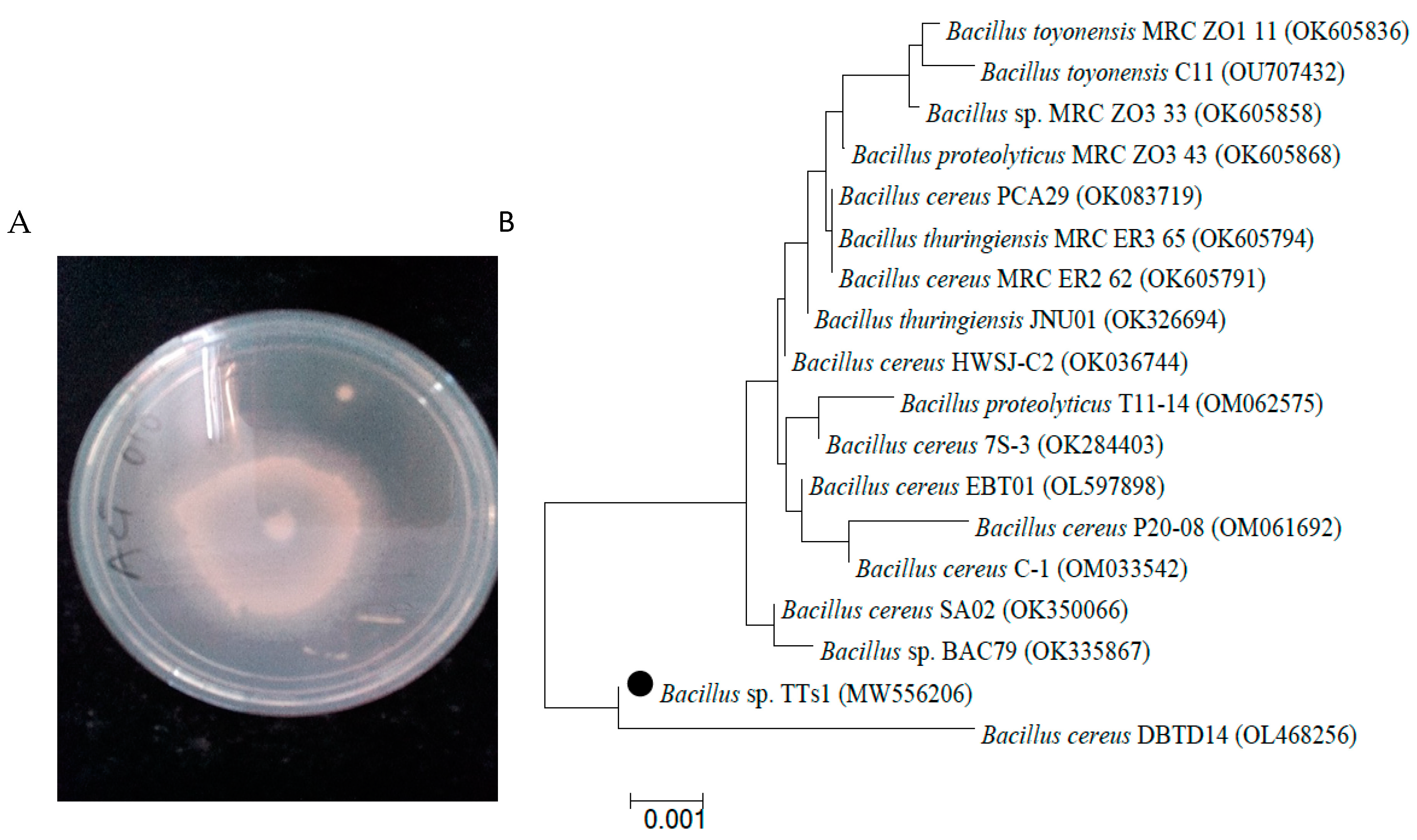 Cleantechnol 05 00062 g001