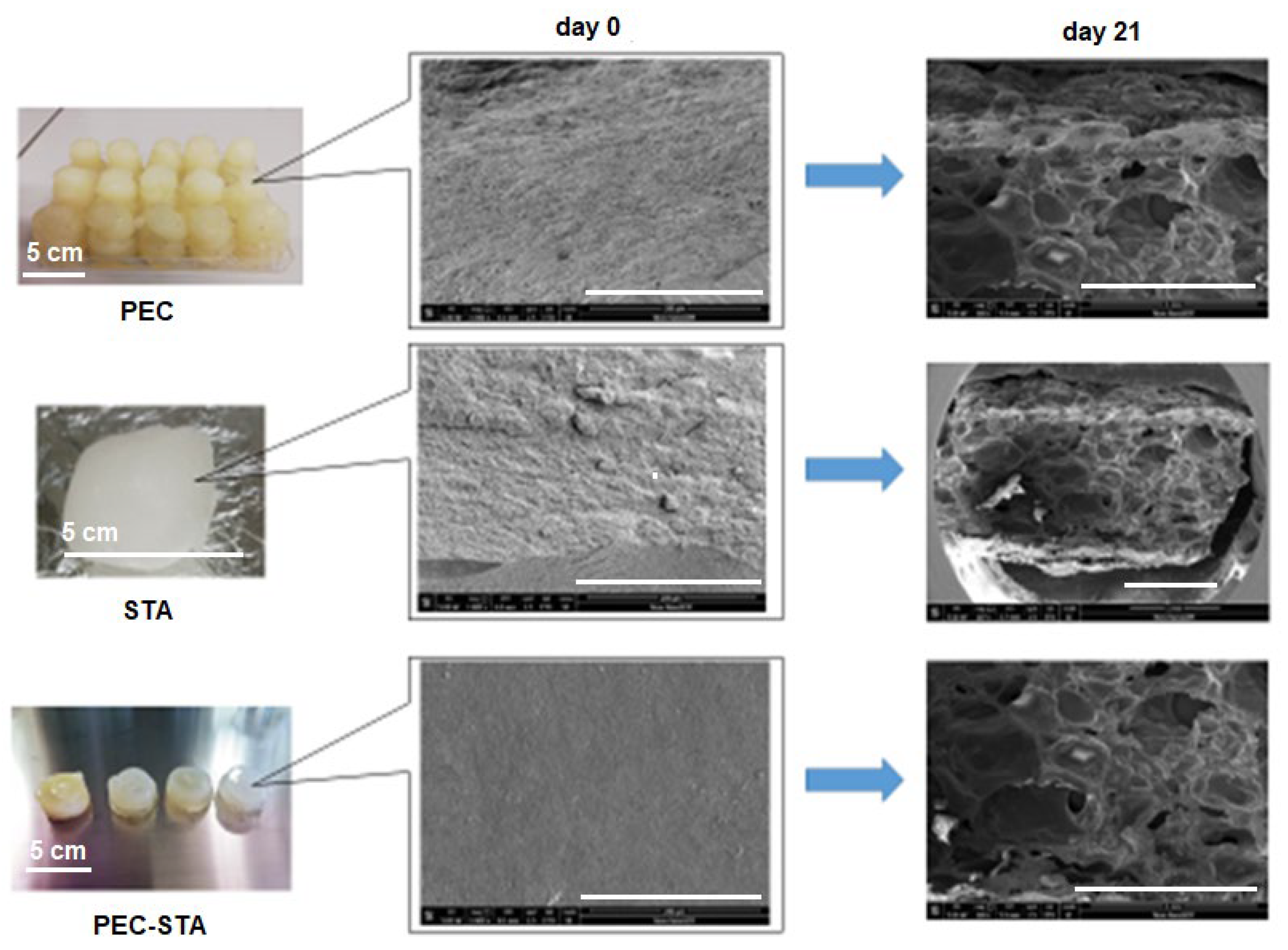 Cleantechnol 06 00001 g008