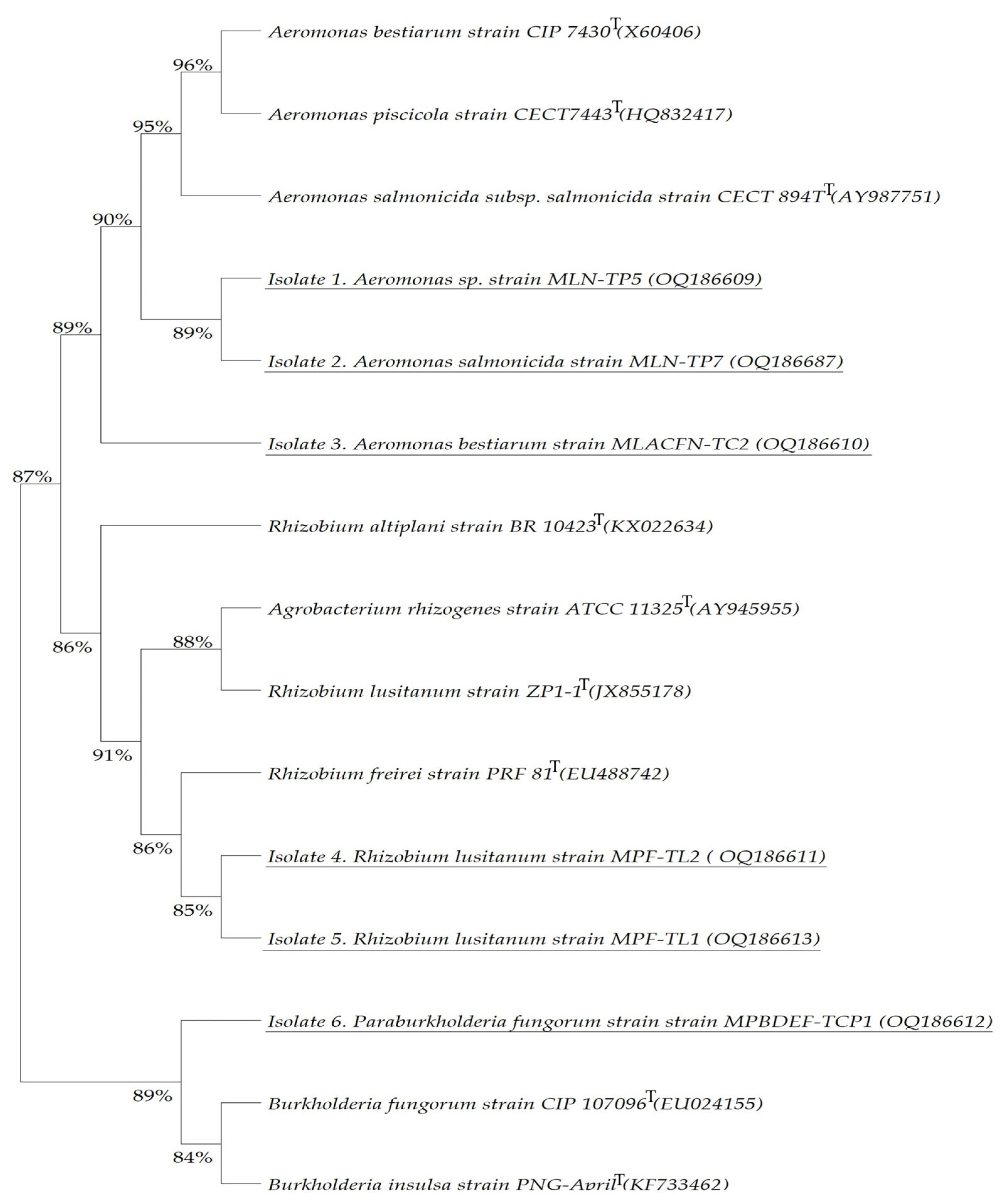 Cleantechnol 06 00008 g005