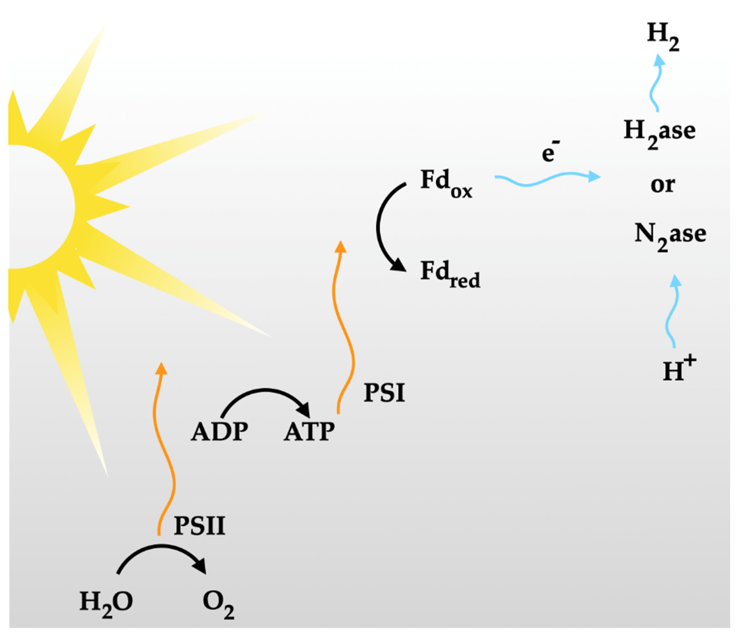 Cleantechnol 06 00061 g011 Cleantechnol 06 00061 g011