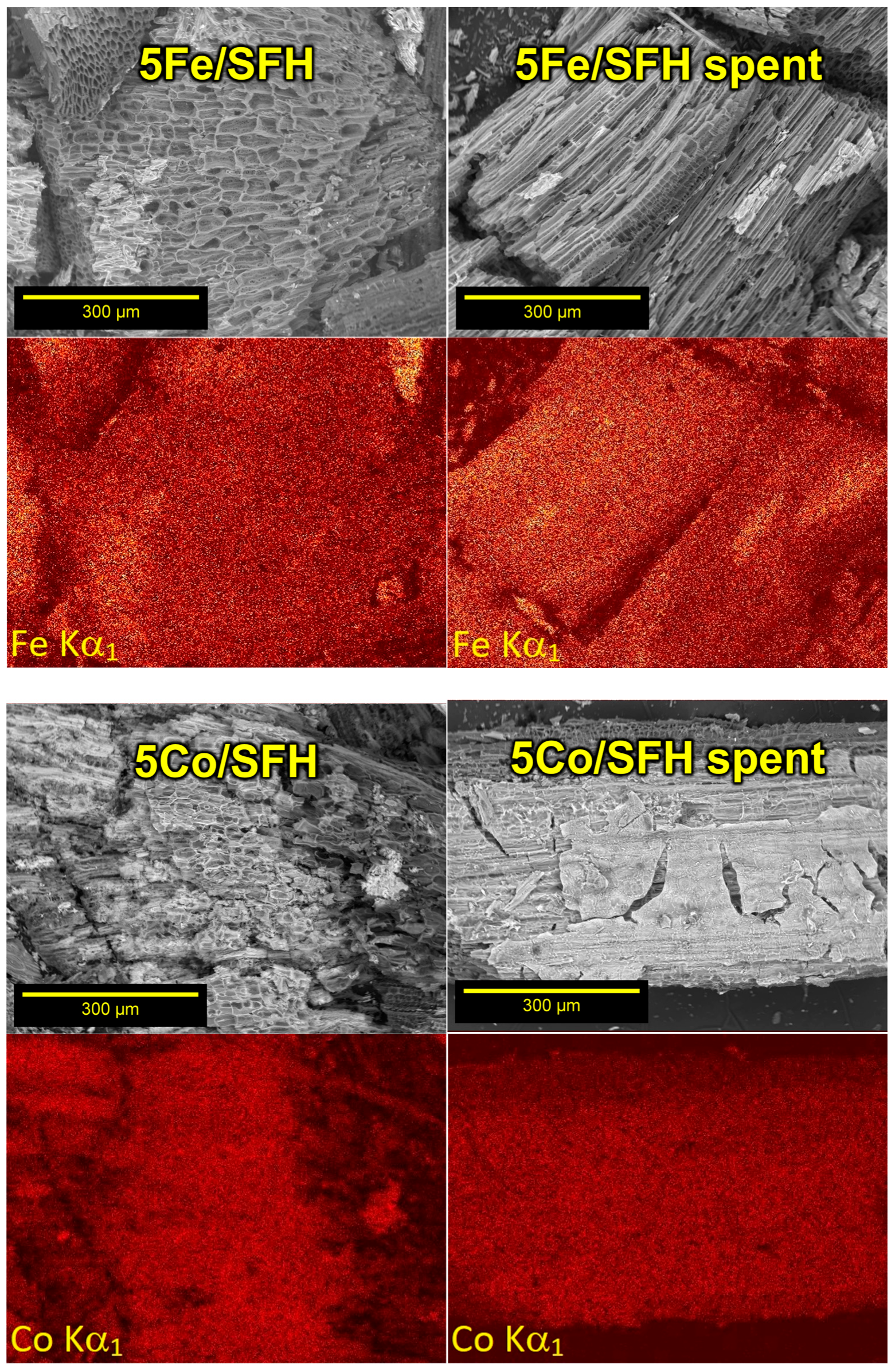 Cleantechnol 06 00076 g002a