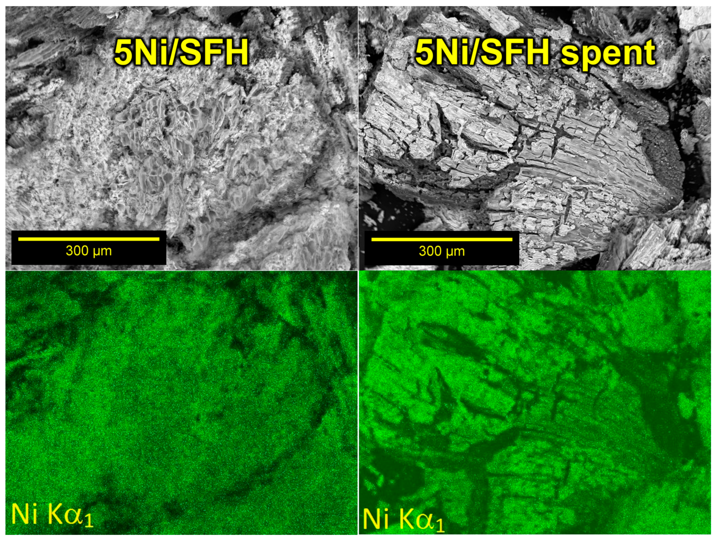 Cleantechnol 06 00076 g002b