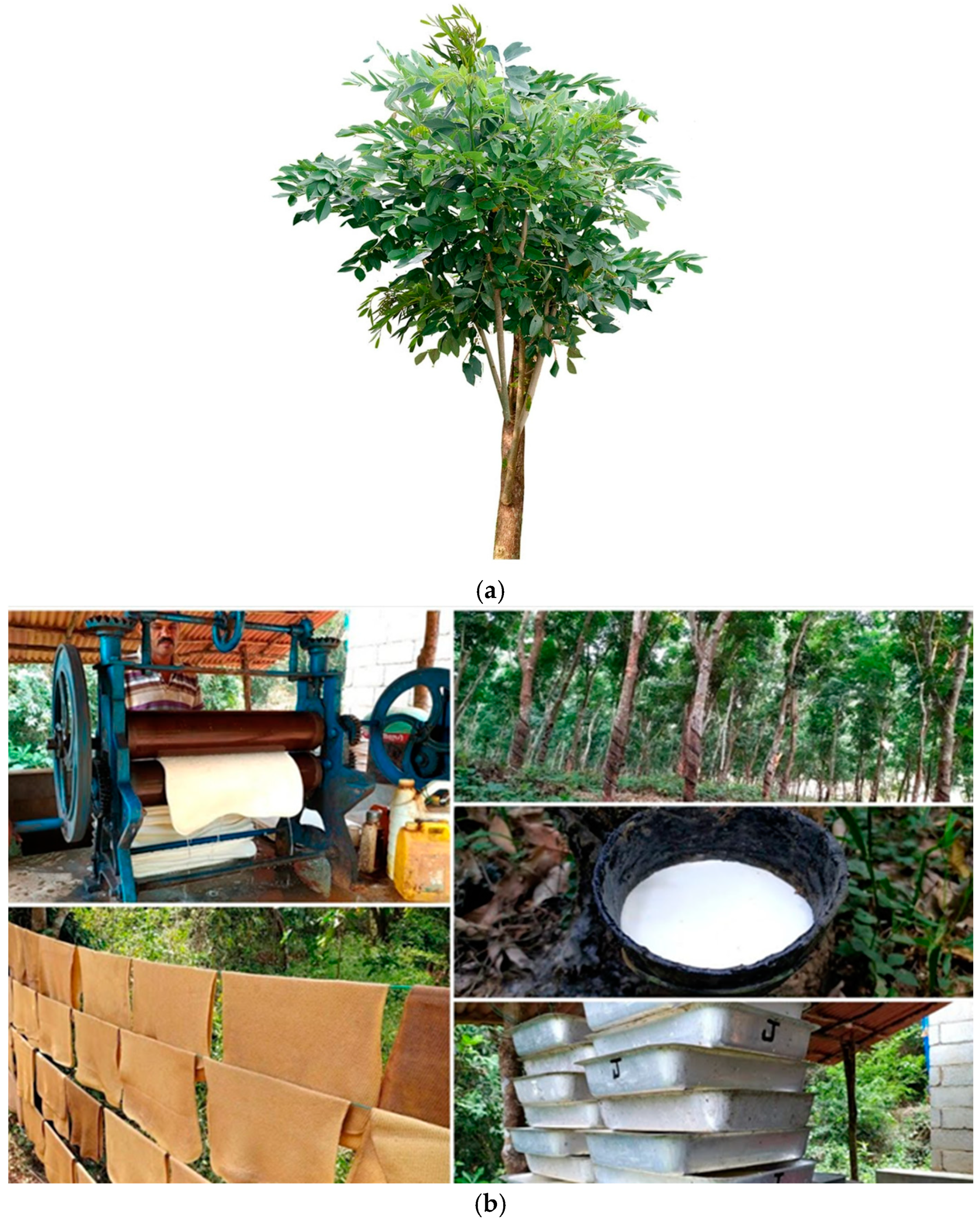 Cleantechnol 07 00004 g001