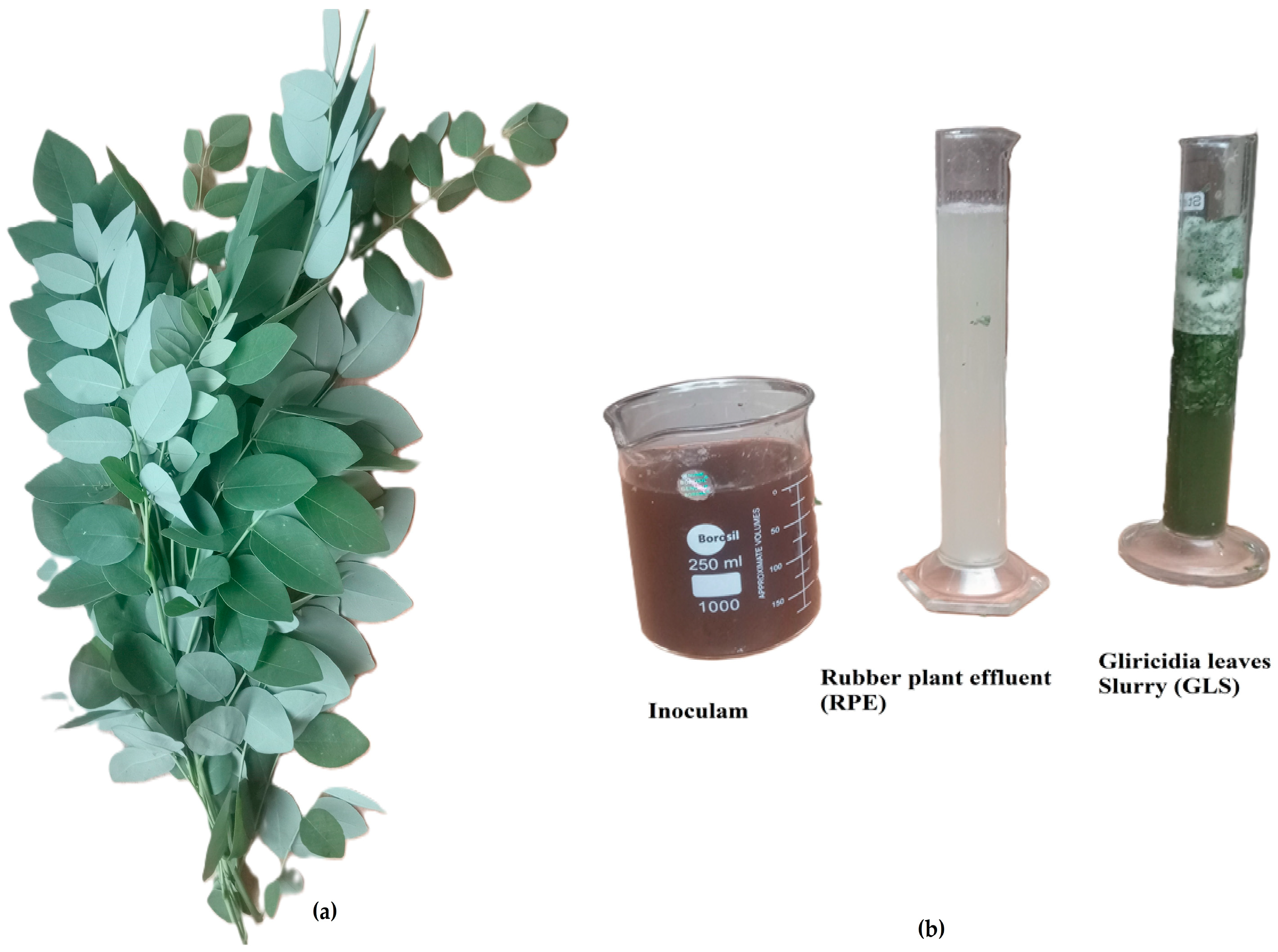 Cleantechnol 07 00004 g002a