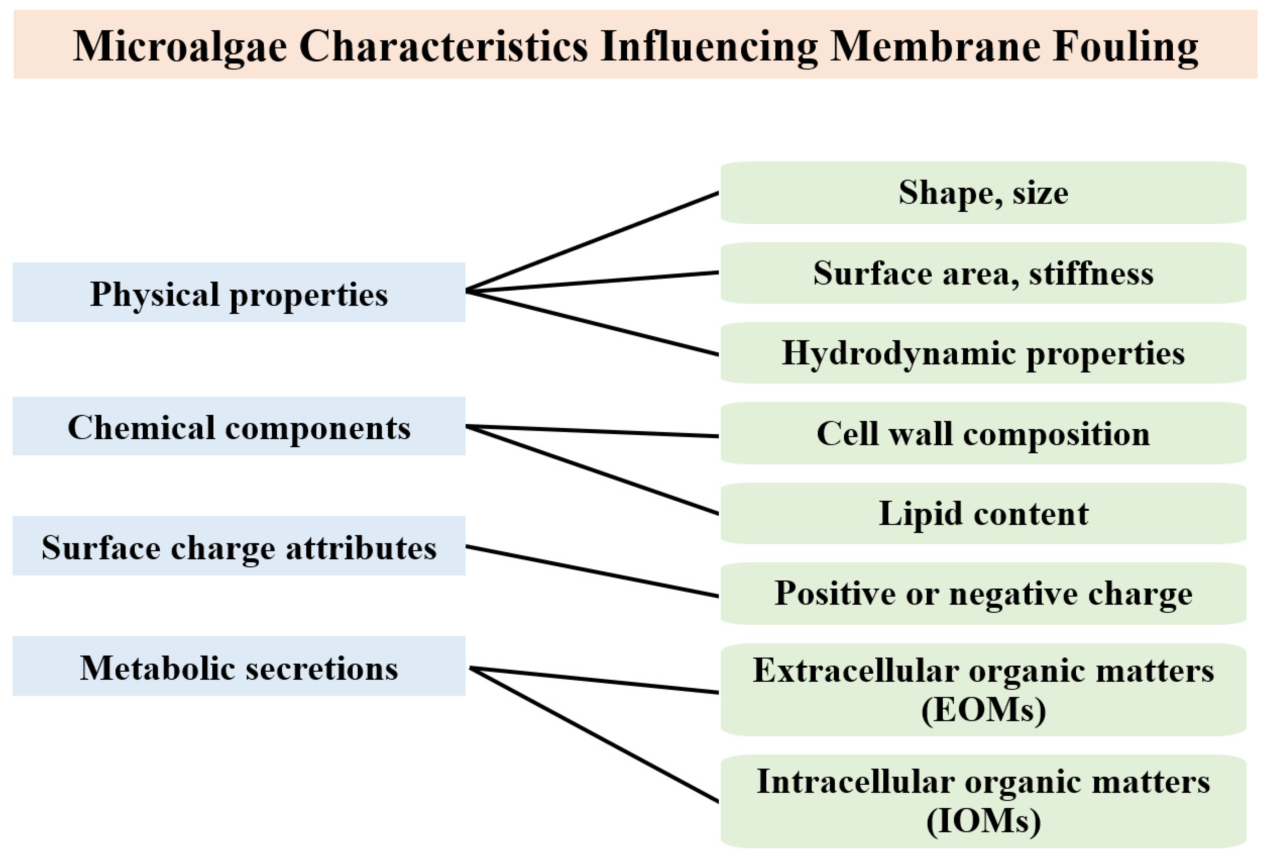 Cleantechnol 07 00010 g002 Cleantechnol 07 00010 g002