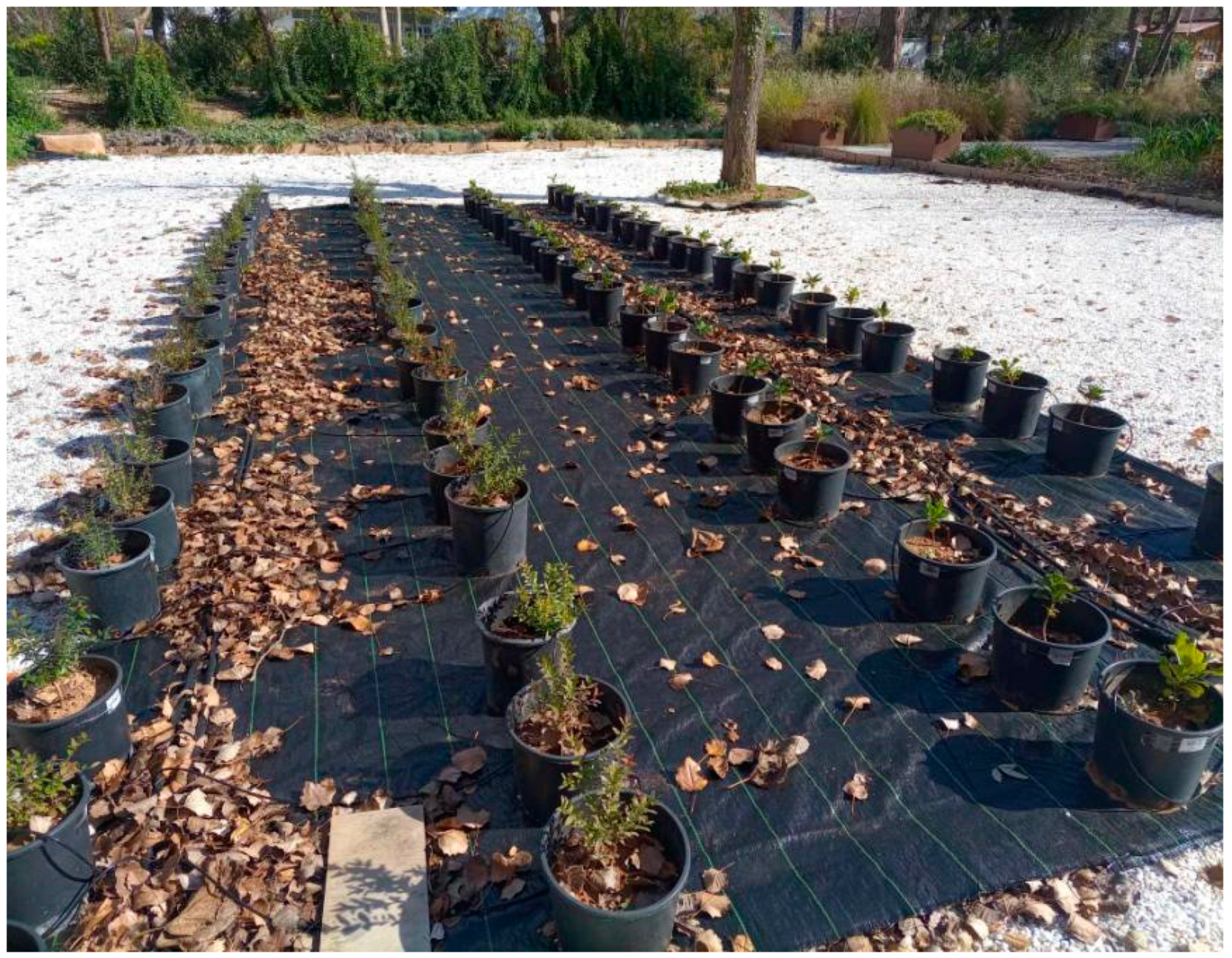 Cleantechnol 07 00013 g001