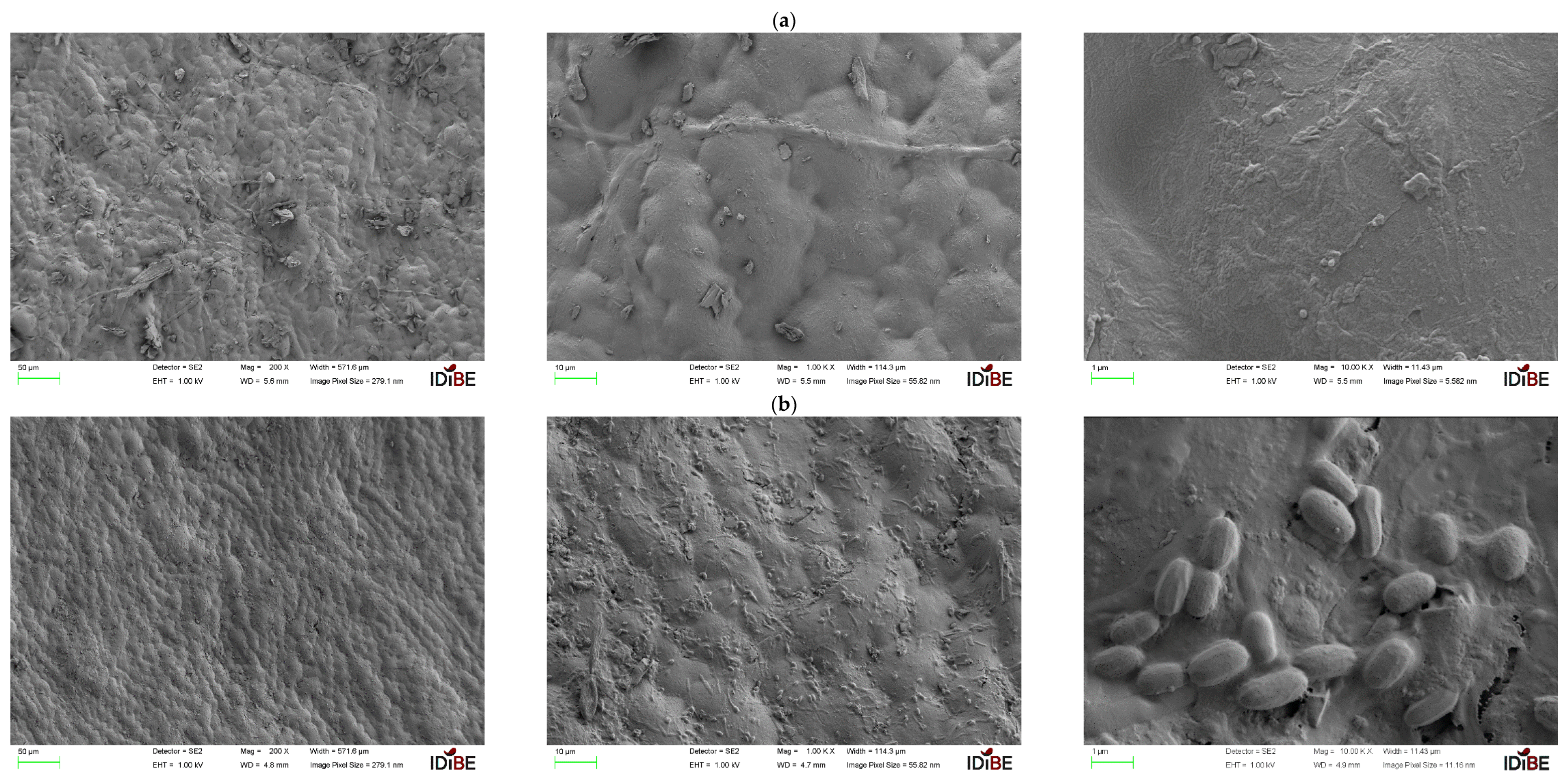 Cleantechnol 07 00015 g003