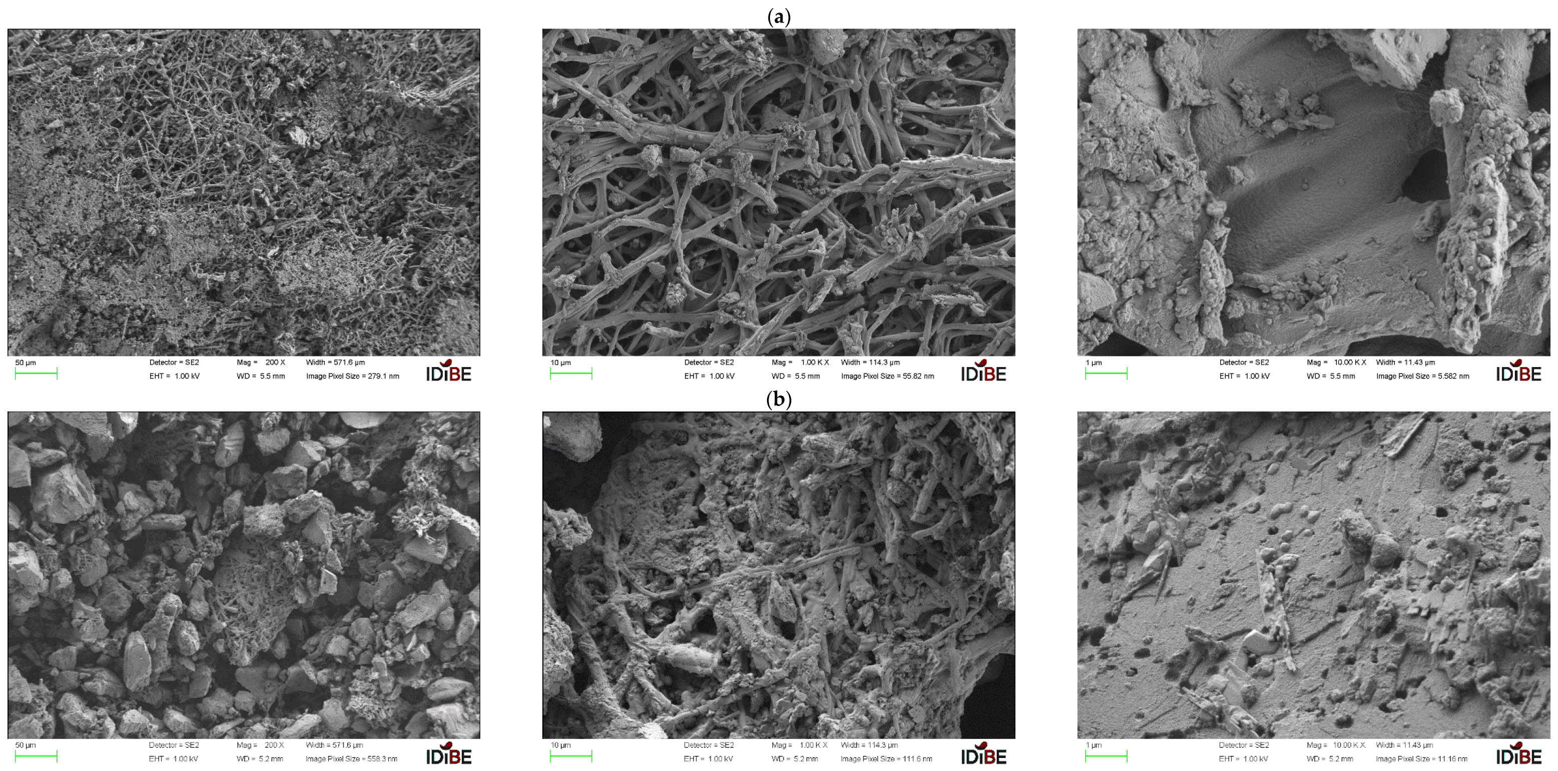 Cleantechnol 07 00015 g005