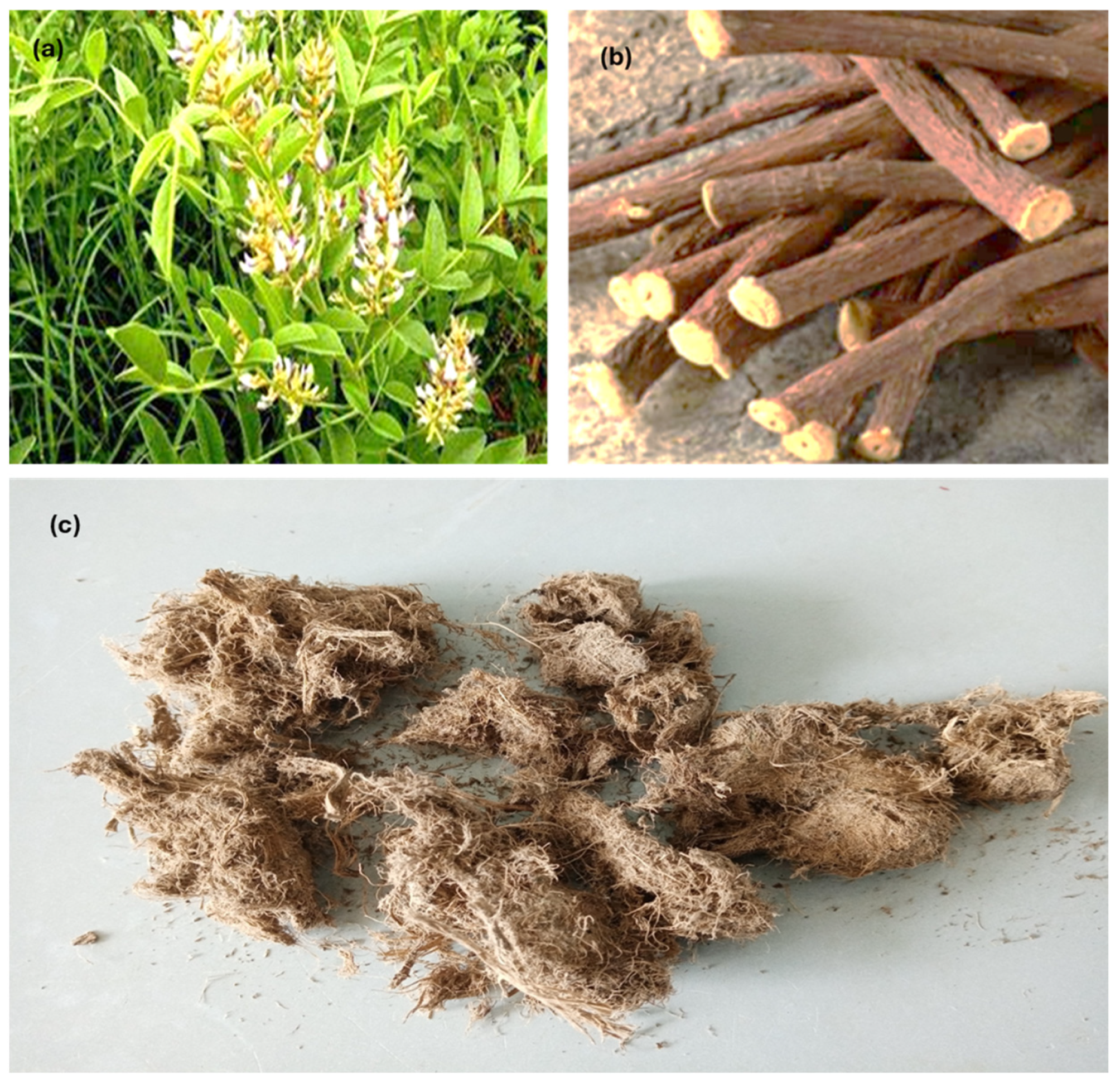 Cleantechnol 07 00055 g001