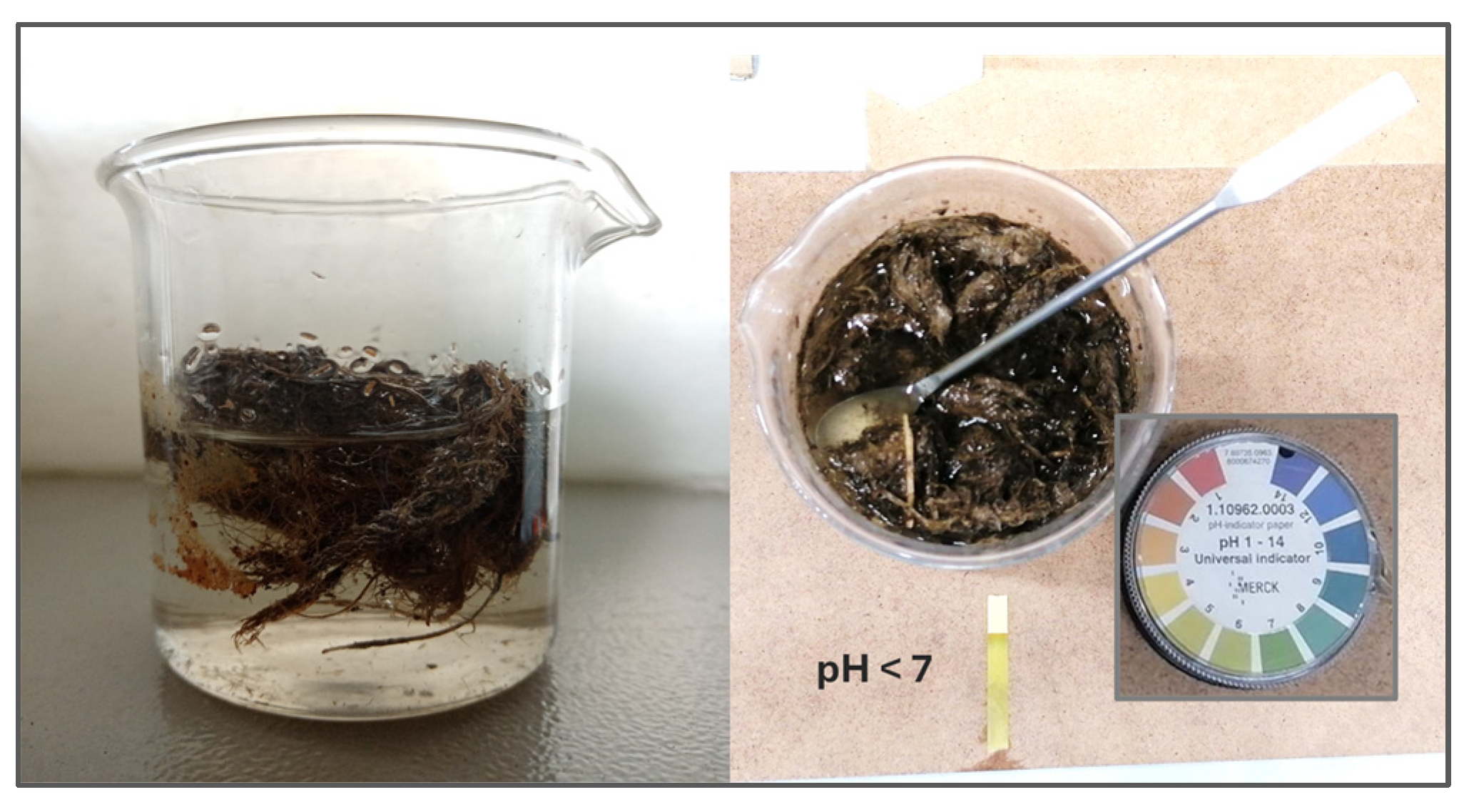 Cleantechnol 07 00055 g003