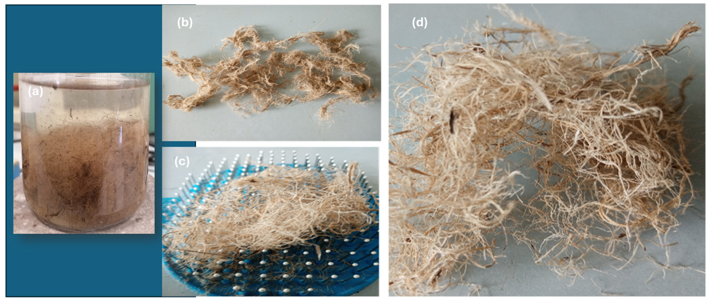 Cleantechnol 07 00055 g011