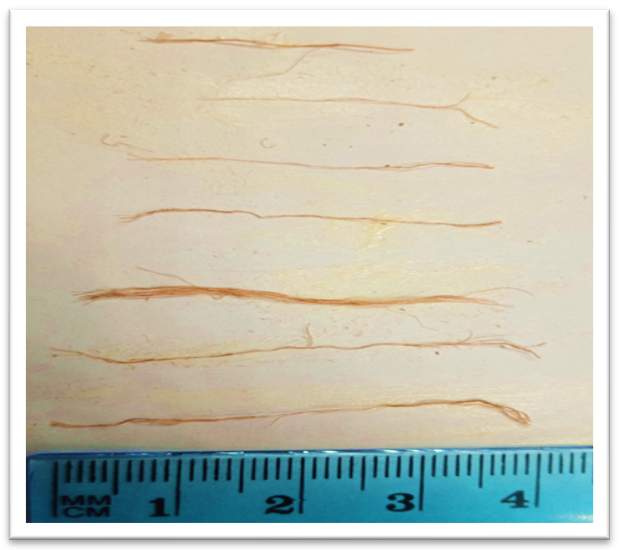 Cleantechnol 07 00055 g014