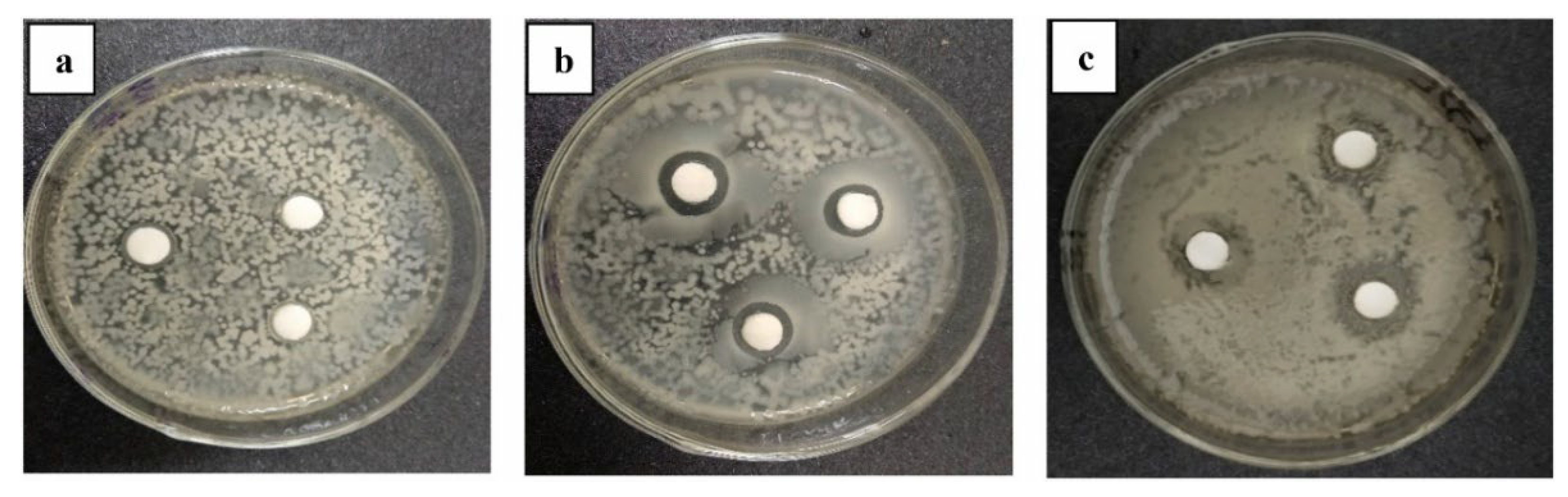 Cleantechnol 07 00095 g006 Cleantechnol 07 00095 g006