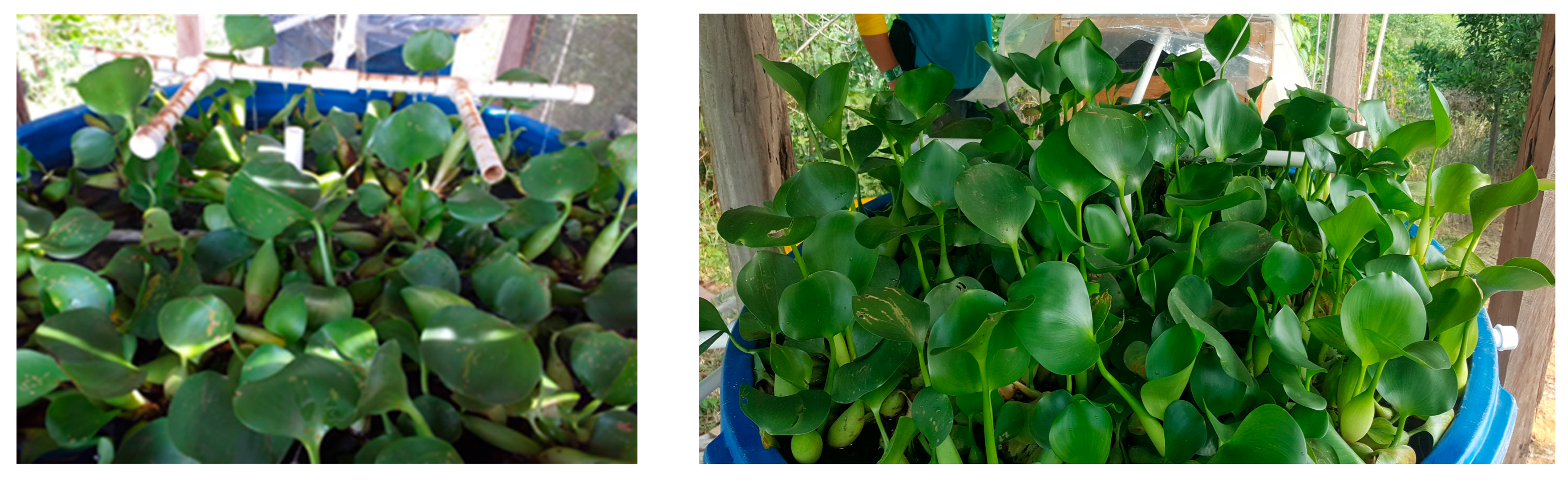 Cleantechnol 07 00105 g0a1